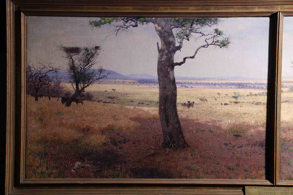 On site sketch of Serengeti plains, William Leigh