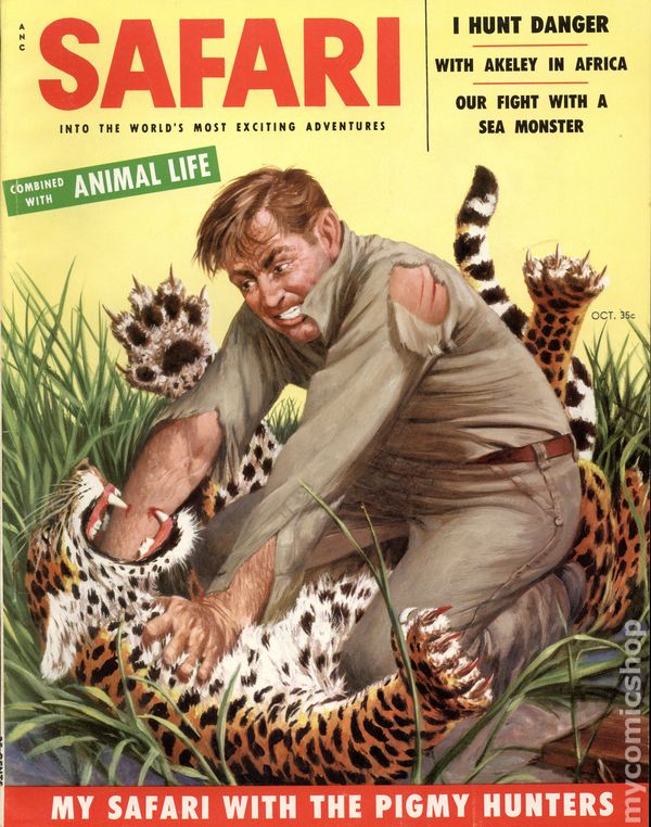 Cover to Safari, depicting Akeley's battle. Circa 1950's