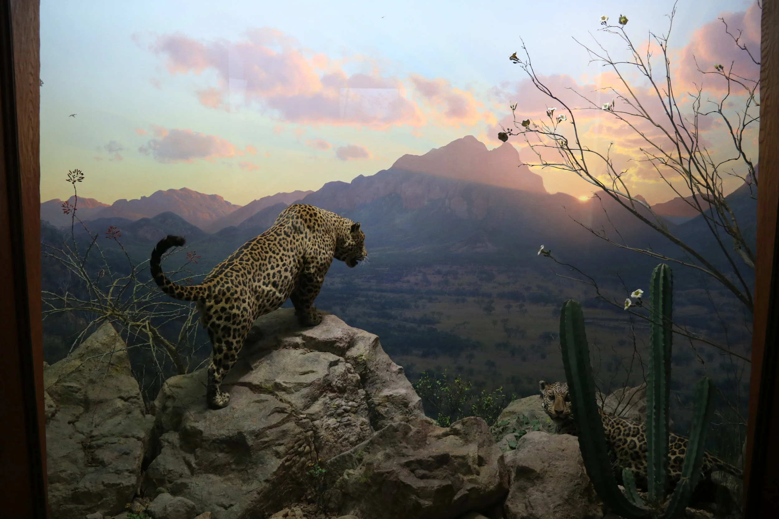 Fact or fiction? test your eyes.