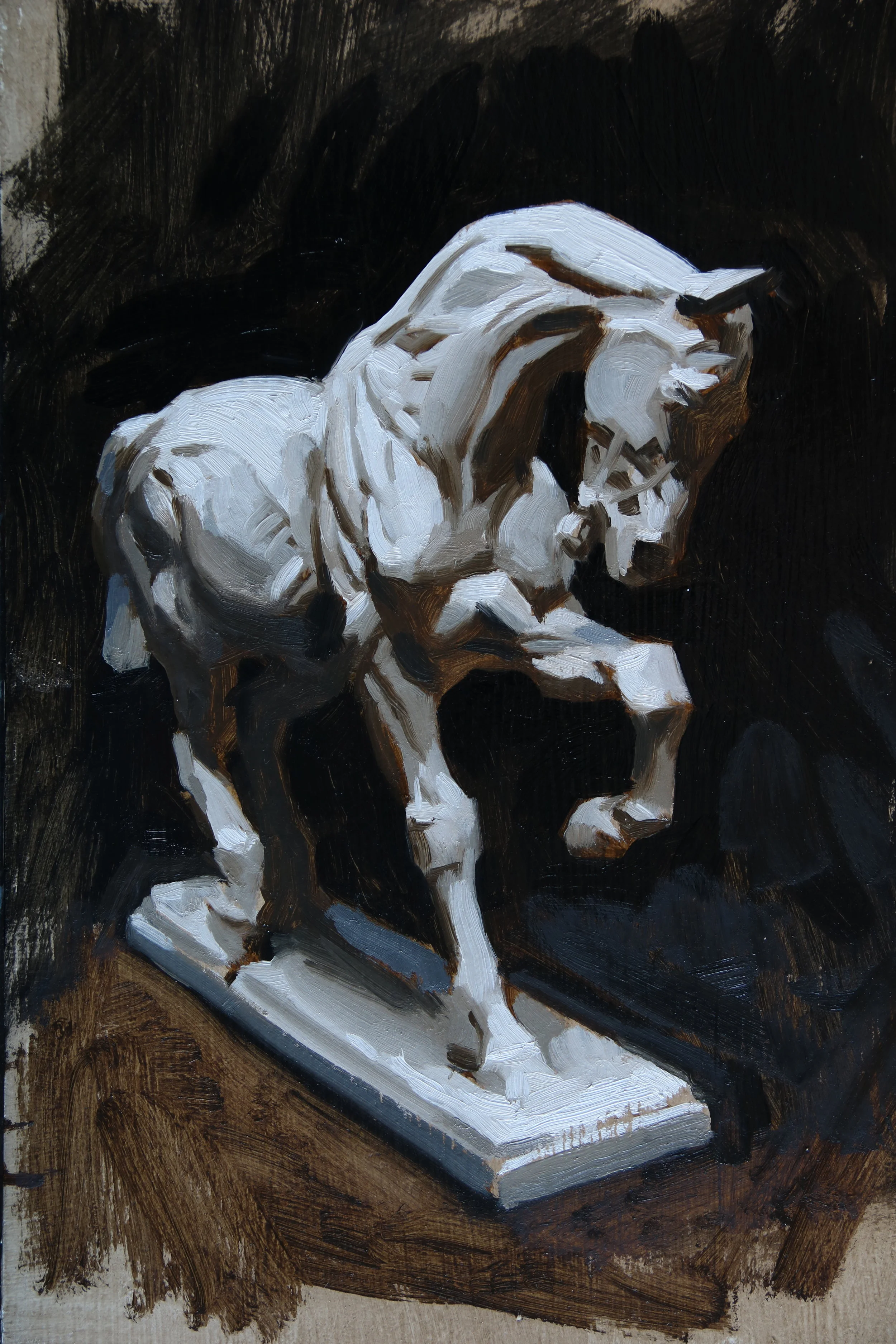 Horse anatomy plaster cast study.