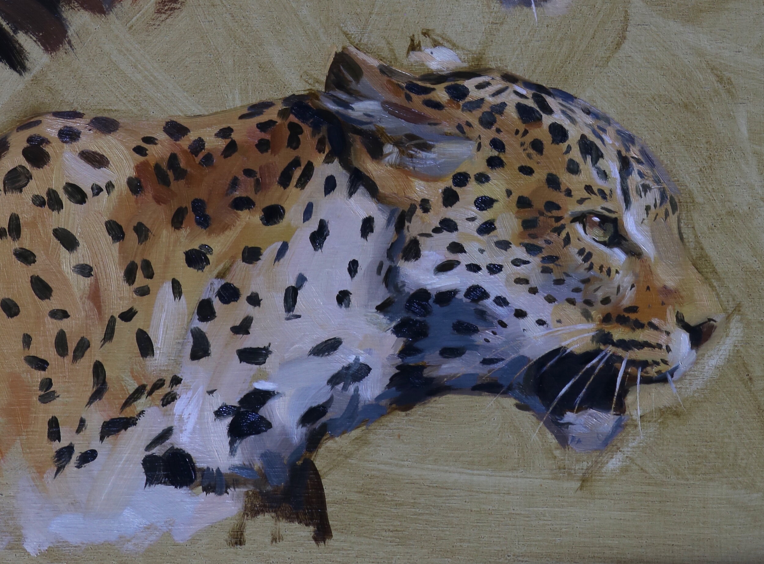 leopard, oil on panel.jpeg