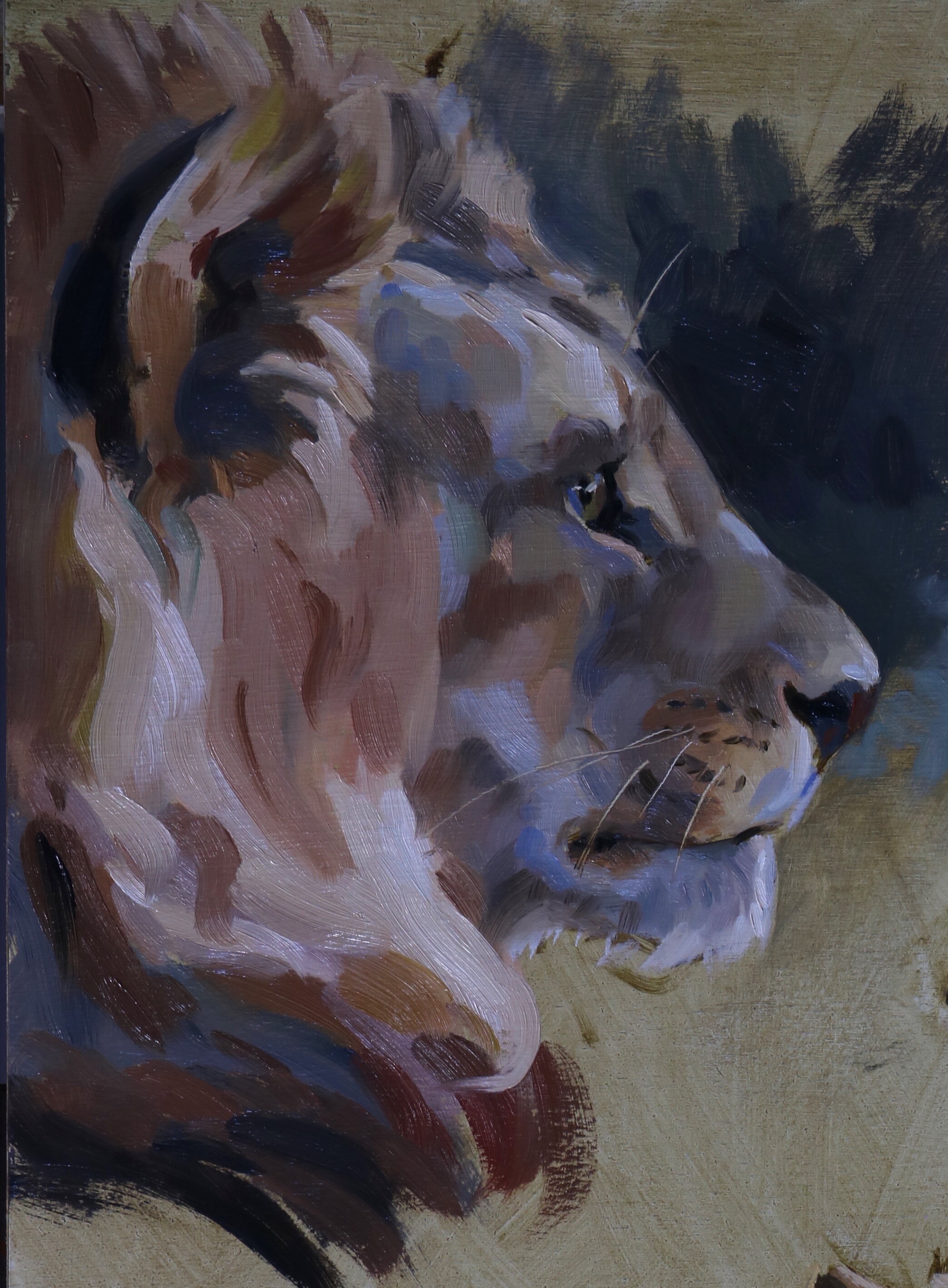 lion profile, oil on panel.jpeg