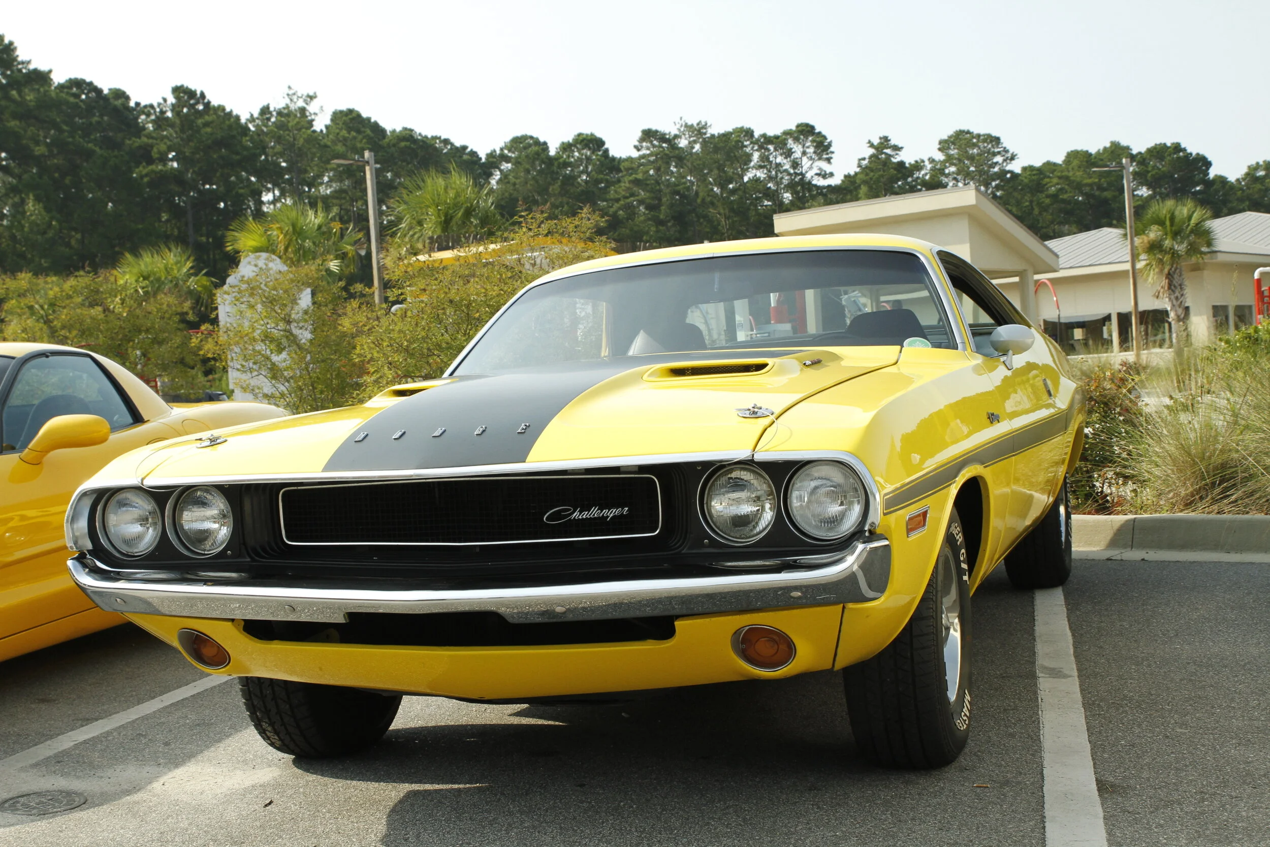 NL- NB Photos (21).JPG
