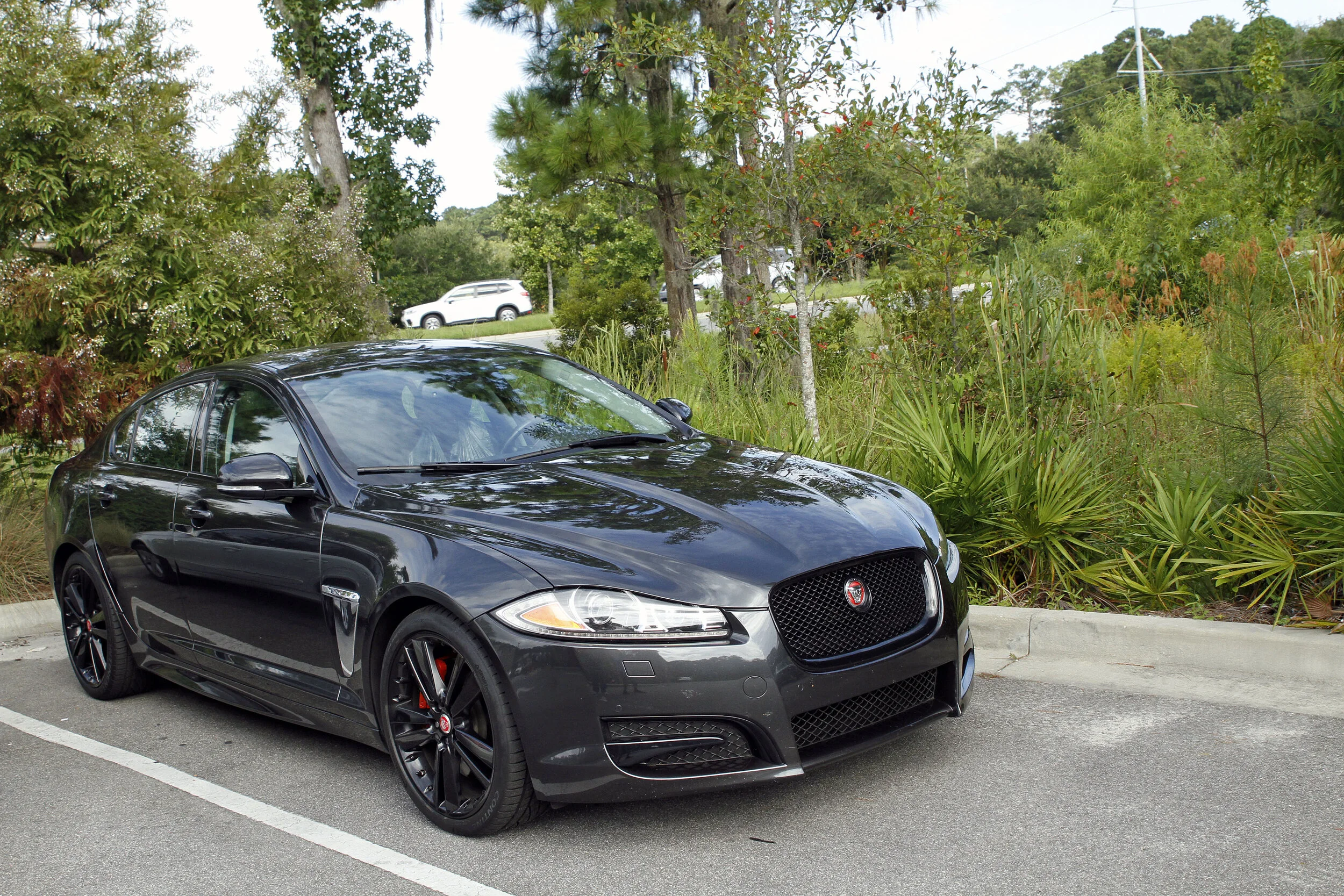 BAB  Aug  2021   #11.JPG