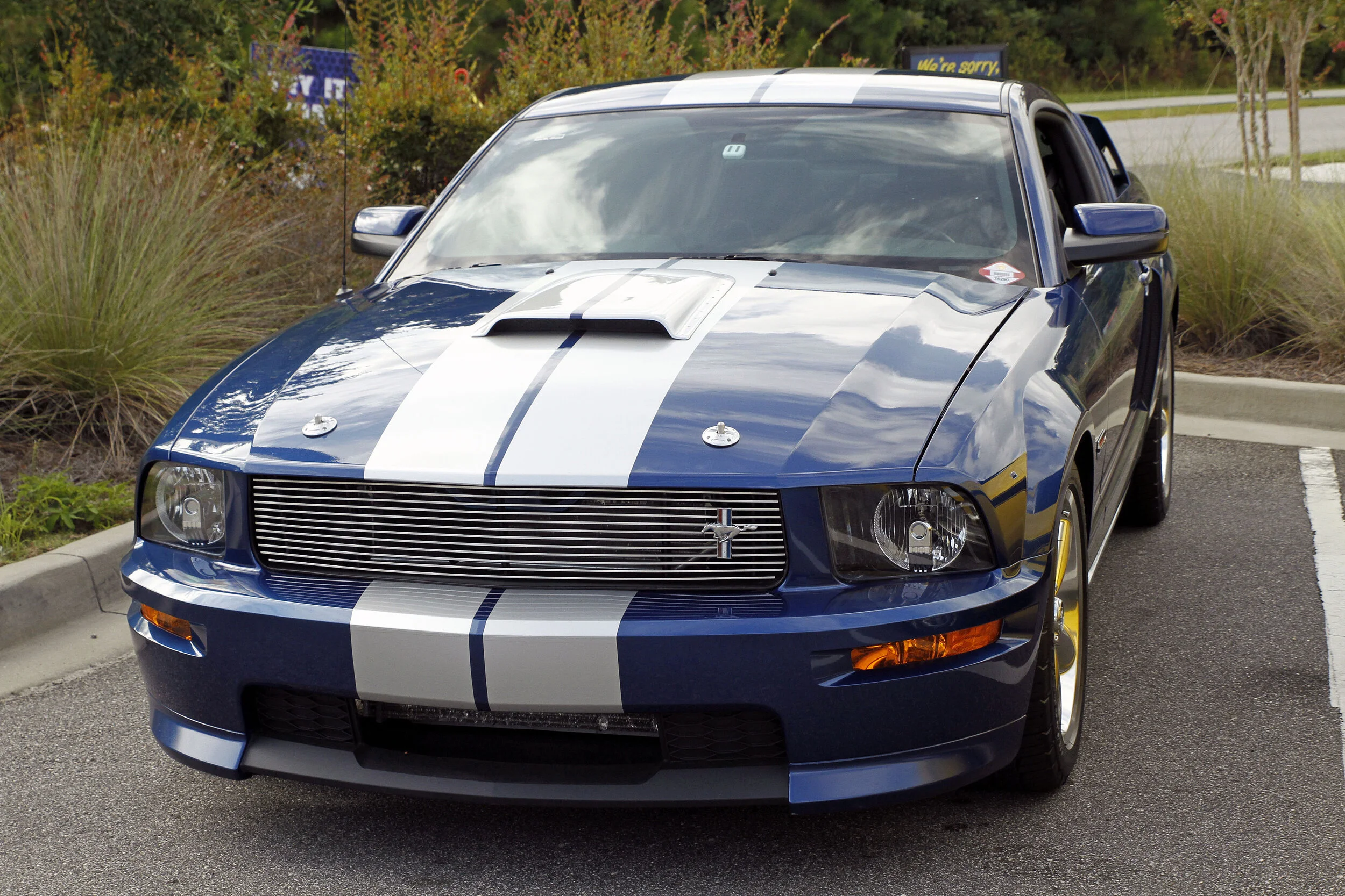 BAB  Aug  2021   #13.JPG