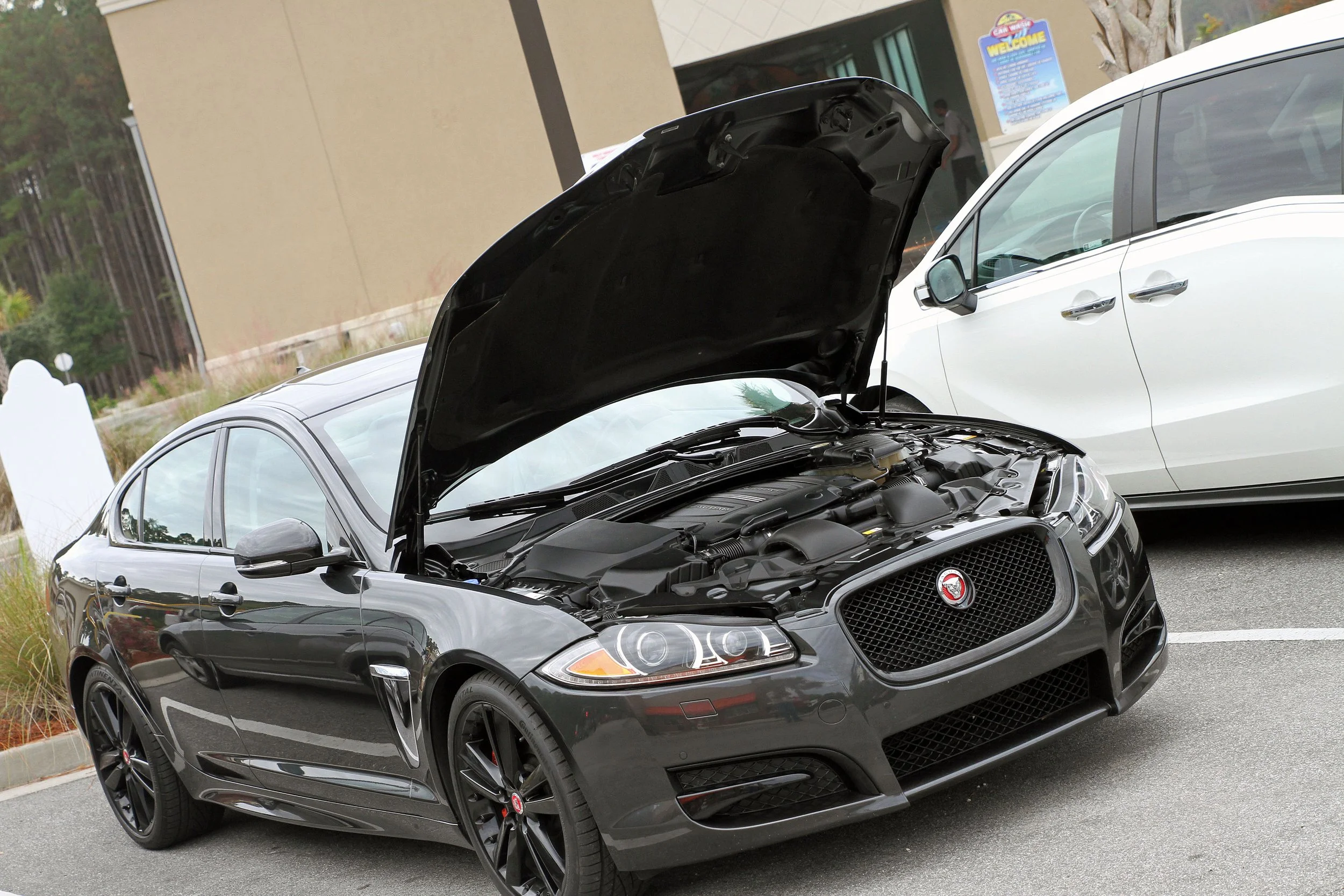 BAB  Dec  2021   #6.JPG