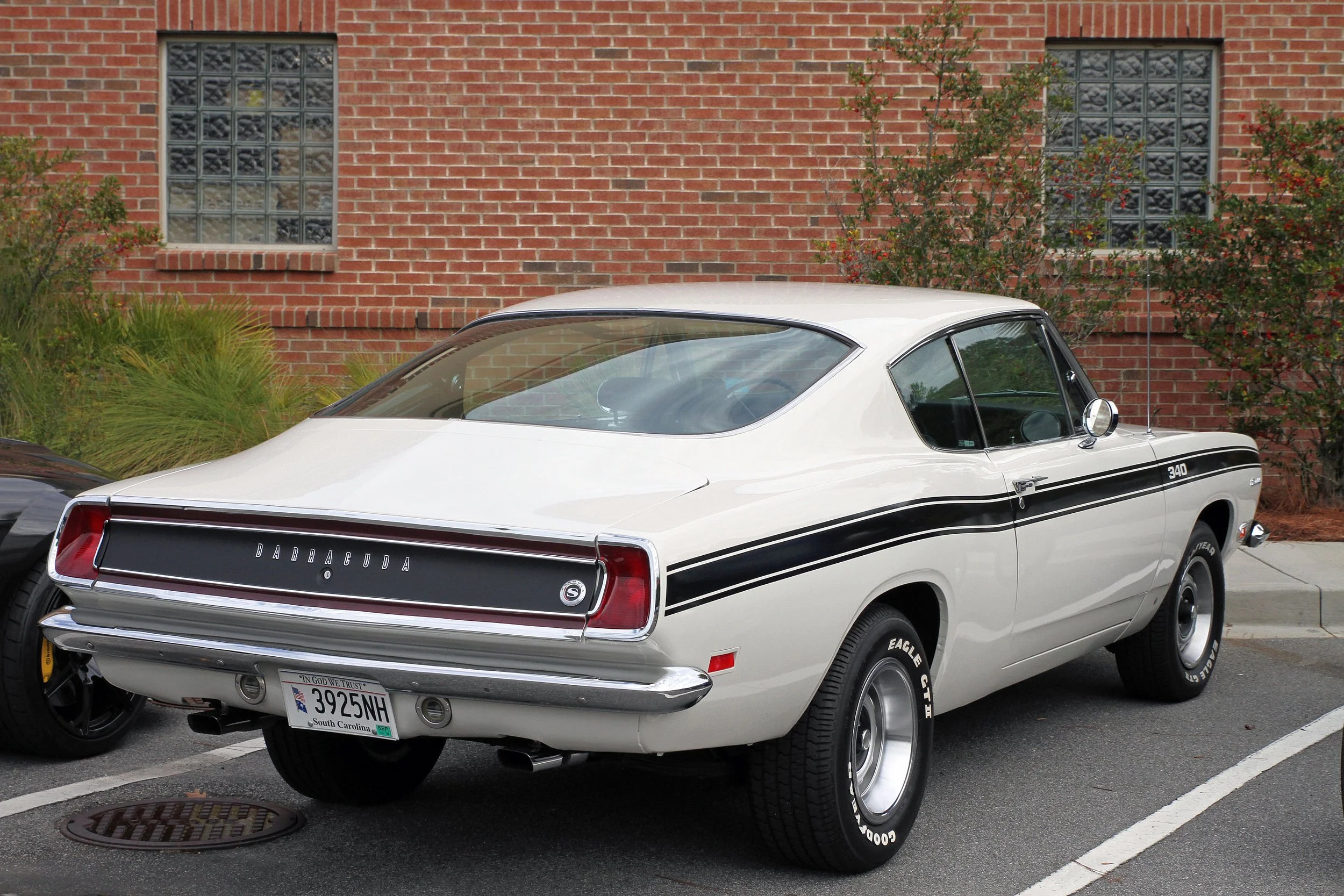 BAB  Dec  2021   #12.JPG