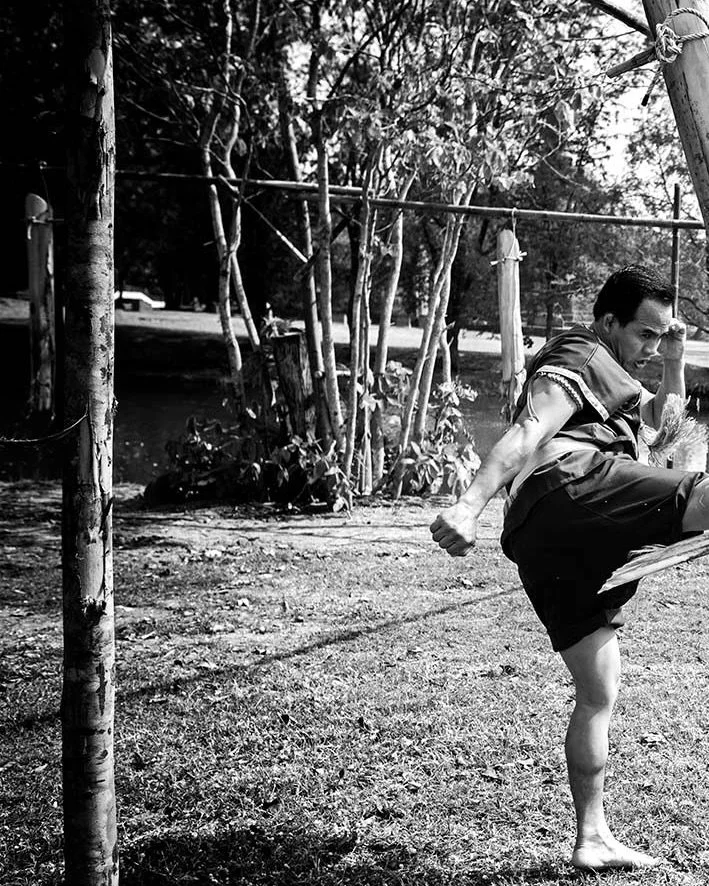 The branch of a banana tree is smashed in the ancient city of Ayutthaya. #muaythai