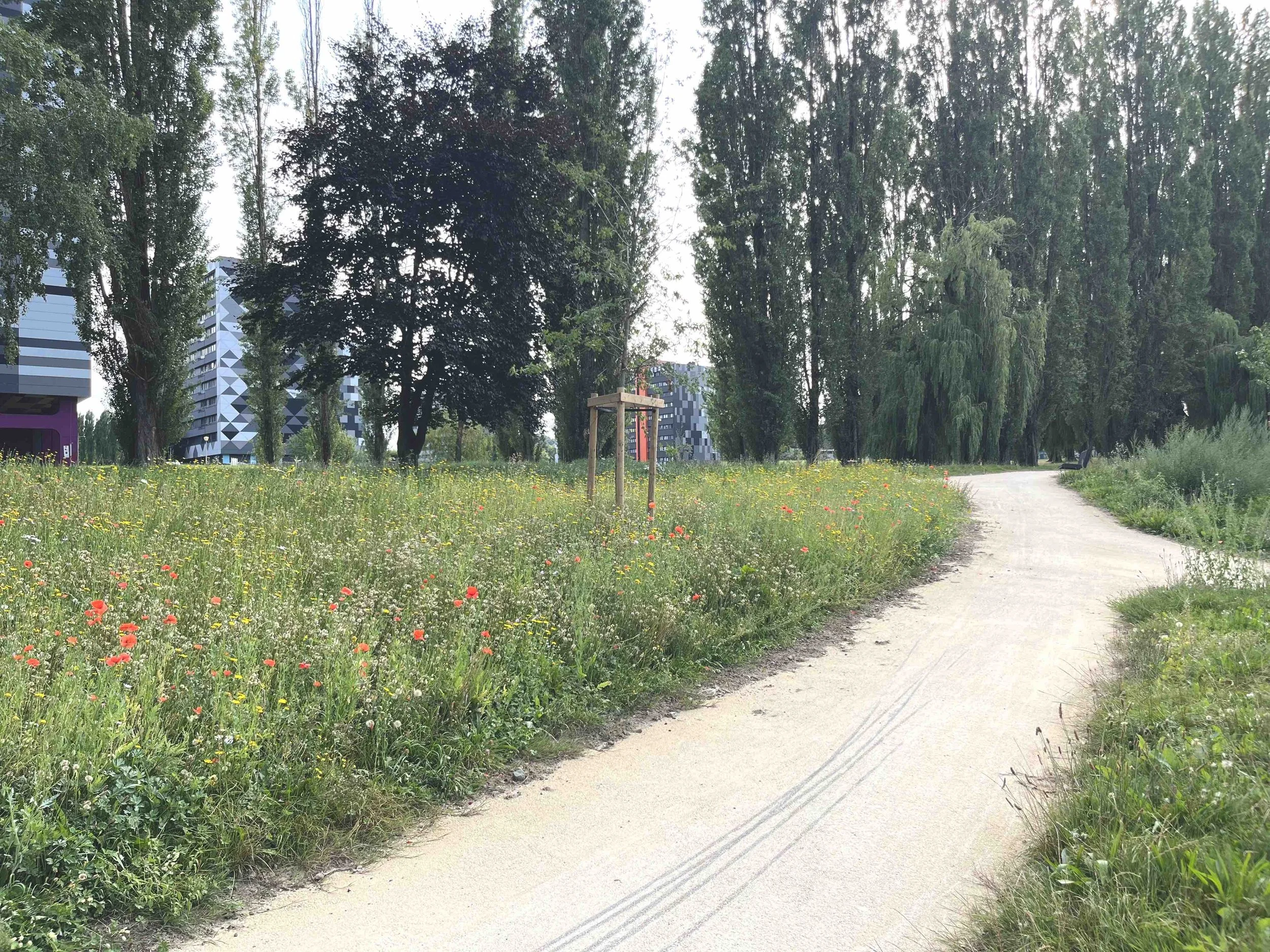5_250904_Charleroi-Bouwmeester_Cité Parc_Marcinelle.jpg
