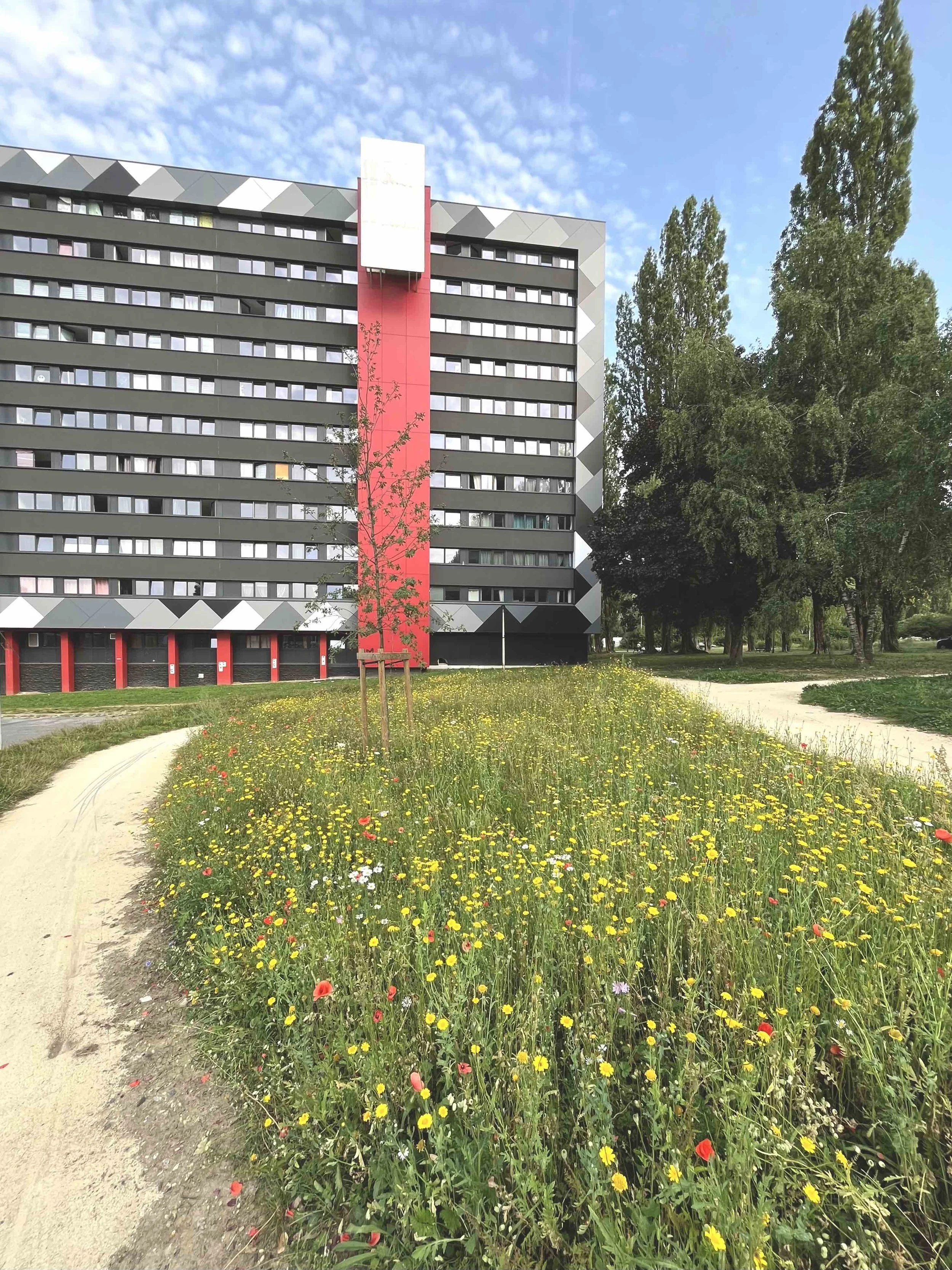 6_250904_Charleroi-Bouwmeester_Cité Parc_Marcinelle.jpg