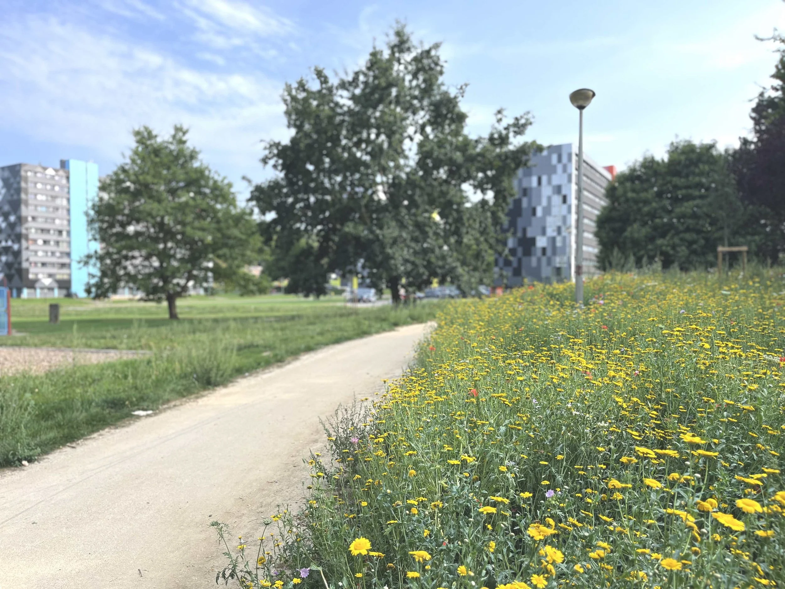 7_250904_Charleroi-Bouwmeester_Cité Parc_Marcinelle.jpg