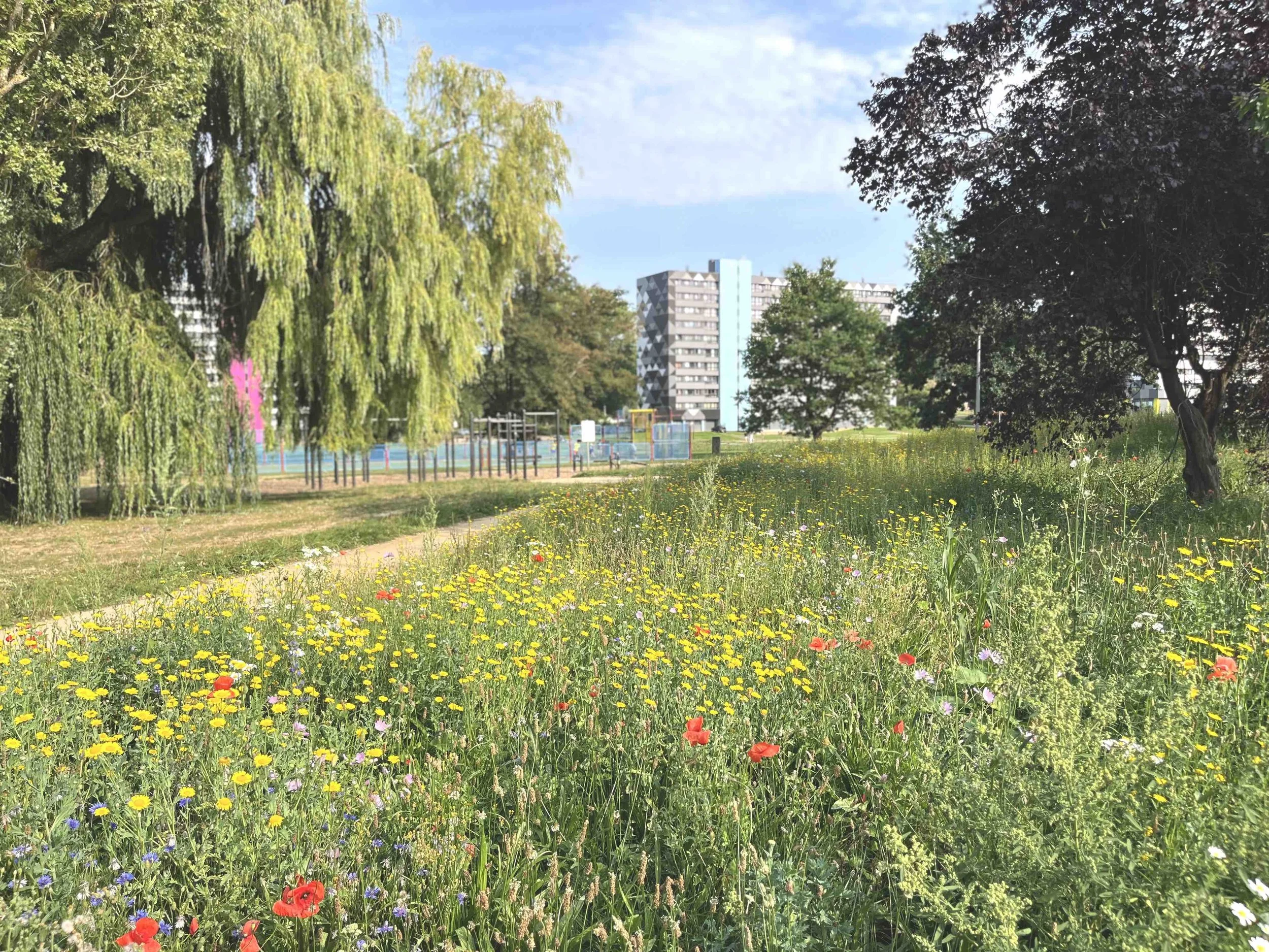 9_250904_Charleroi-Bouwmeester_Cité Parc_Marcinelle.jpg