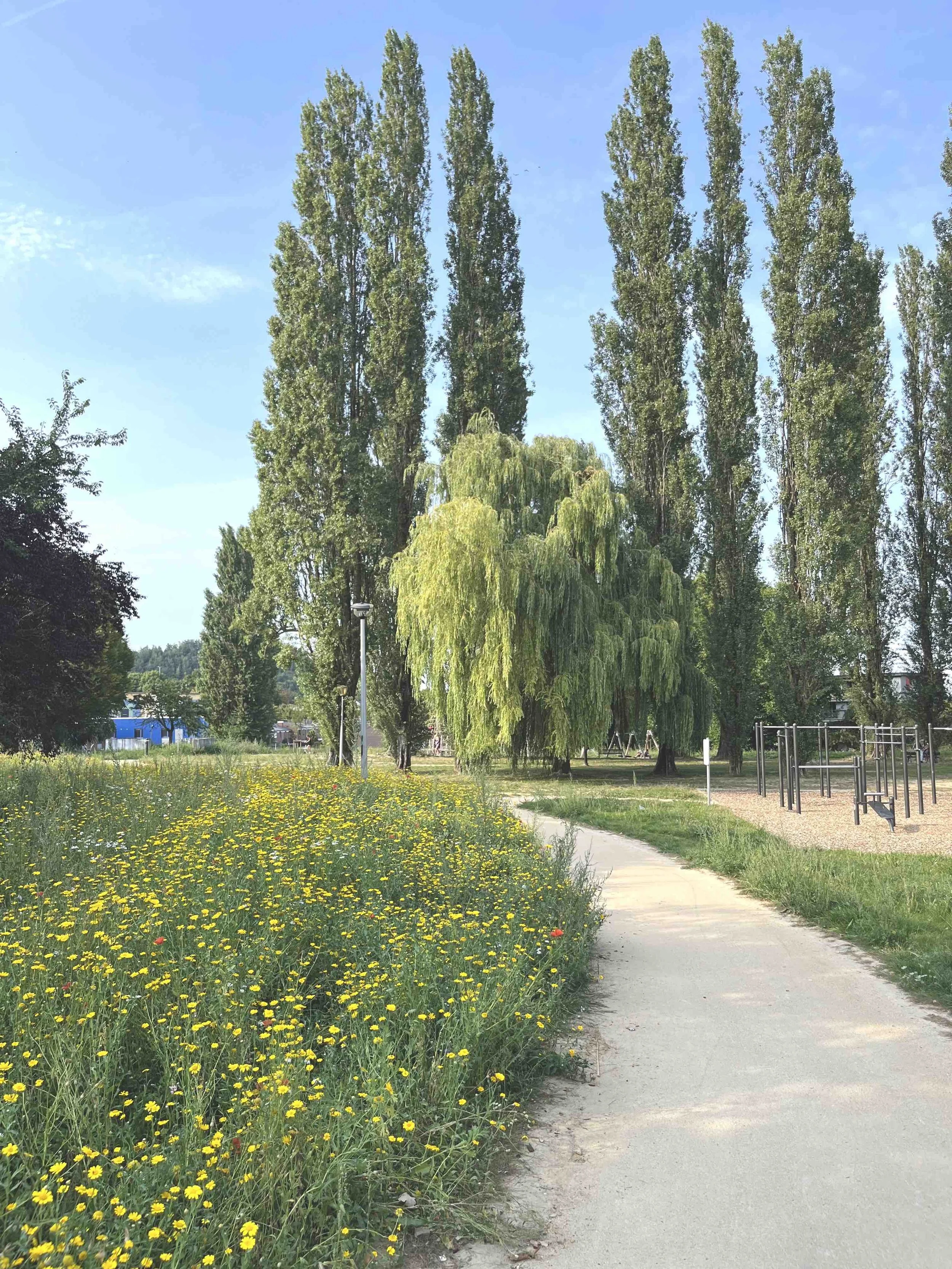 11_250904_Charleroi-Bouwmeester_Cité Parc_Marcinelle.jpg