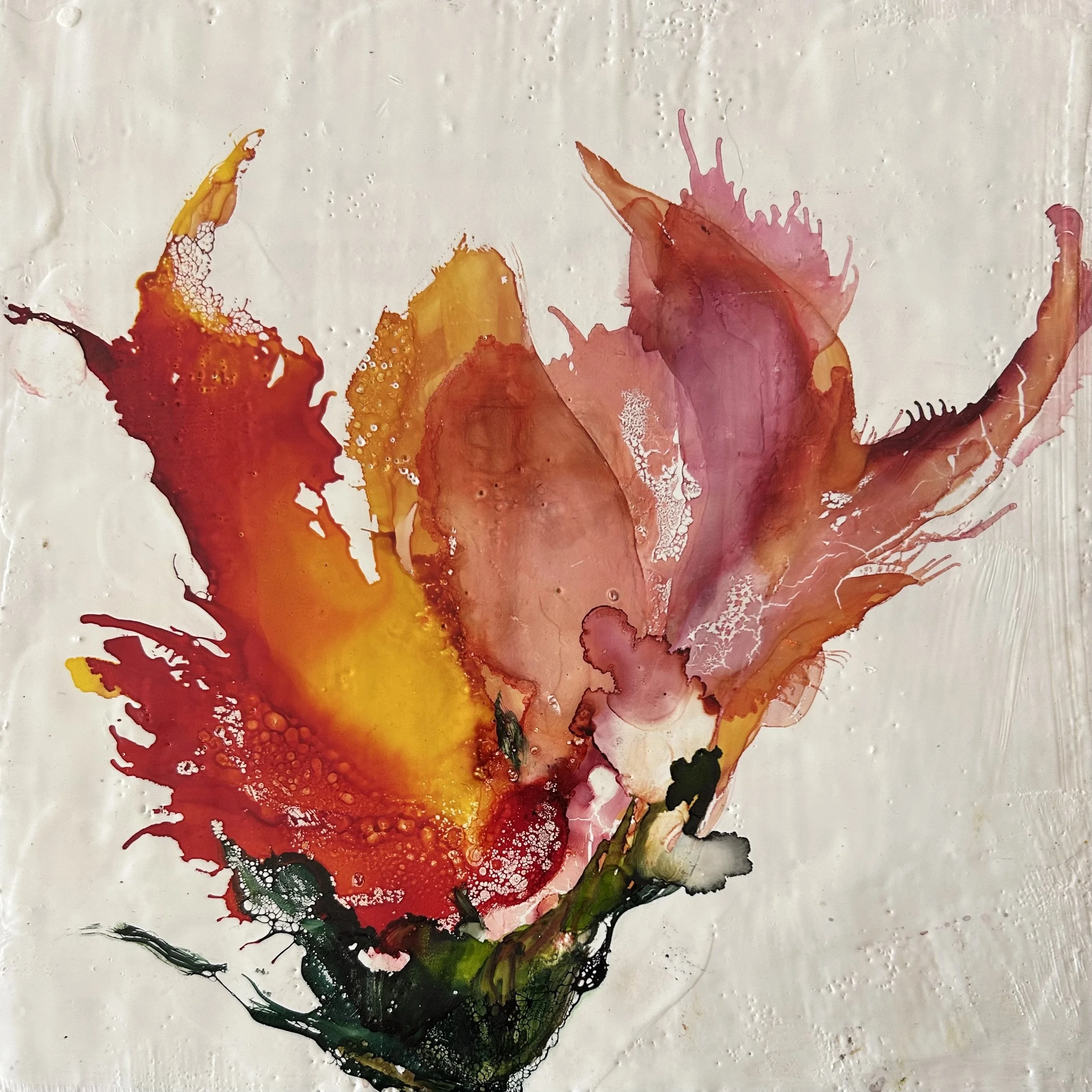 Wildflower 5