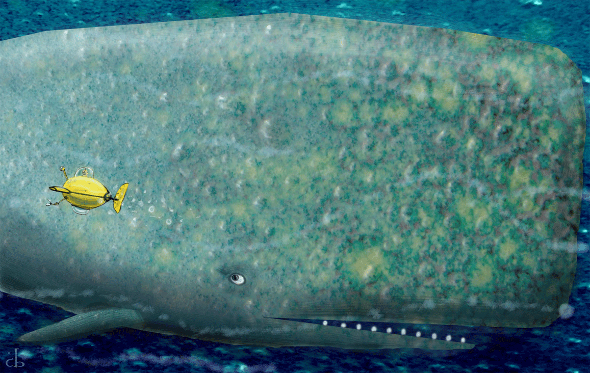 whale&sub2.gif