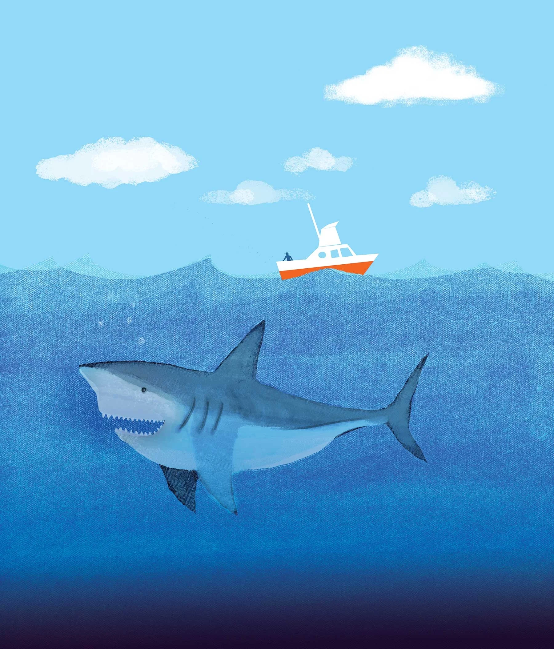 sharky2b.jpg