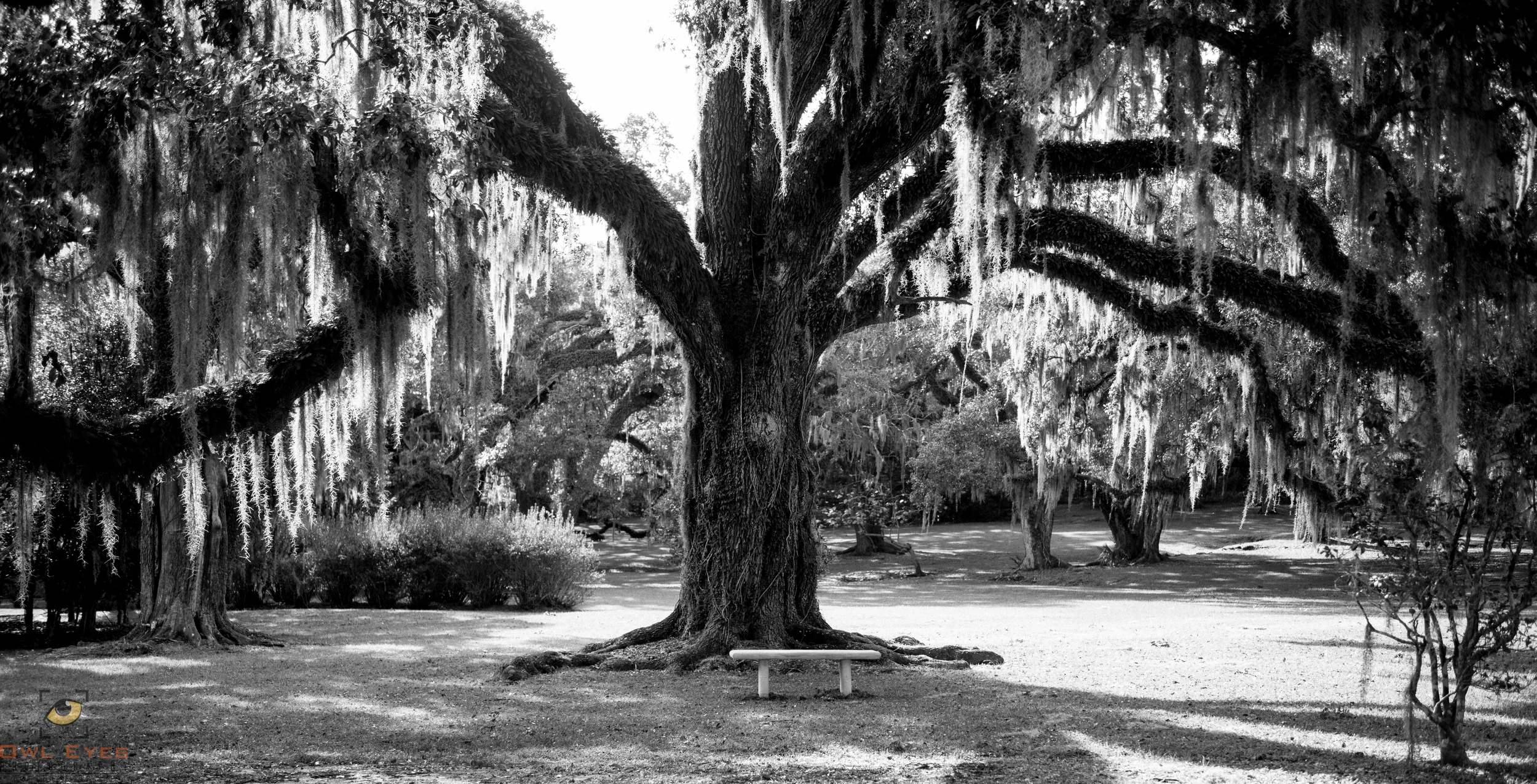 Avery Island Louisiana
