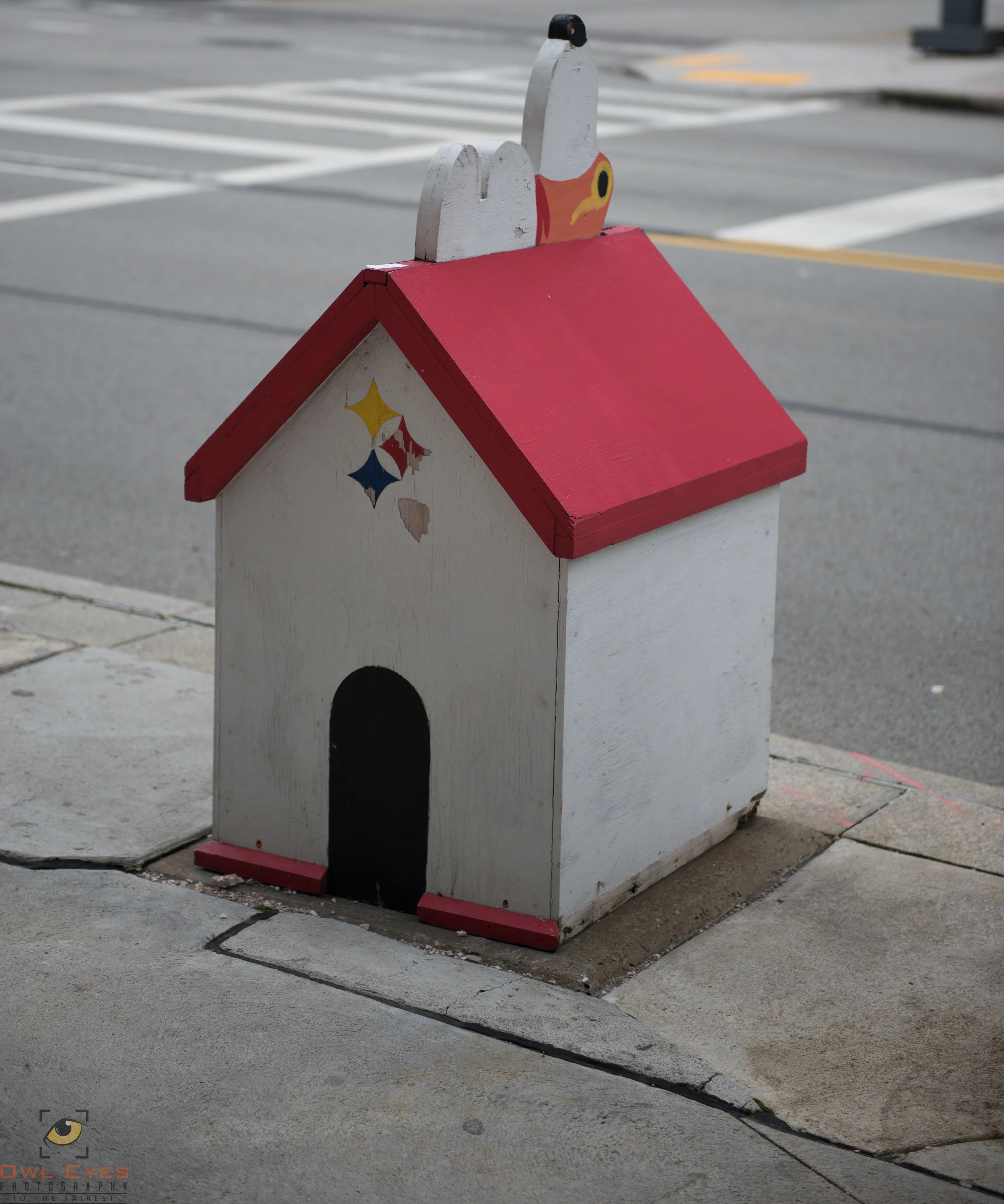 Snoopy"s Dog House