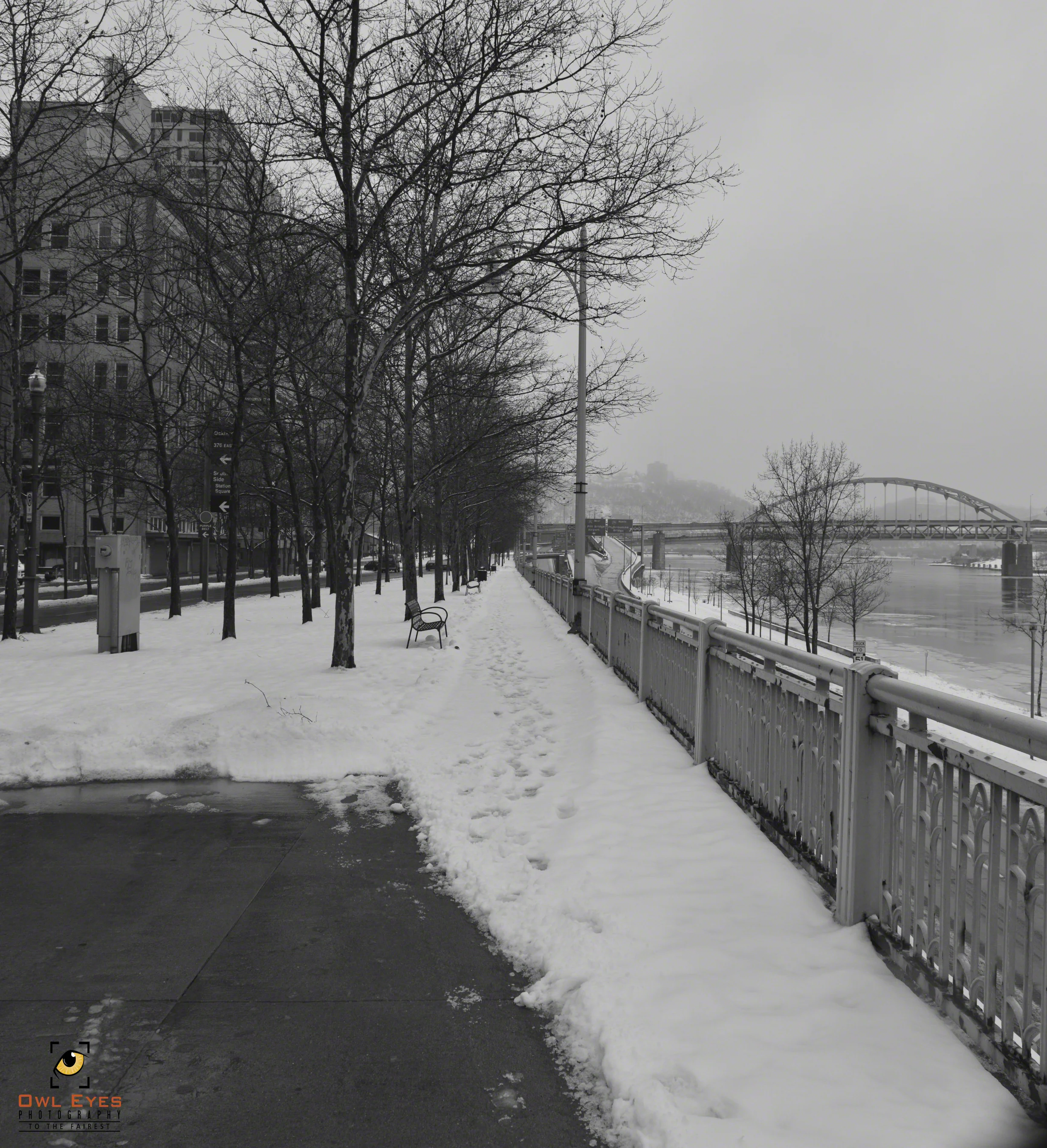 16718047001_0f2a8e8dc2_o.jpg
