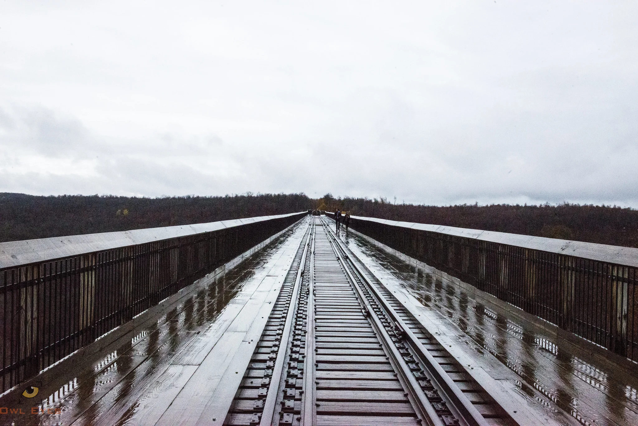 Kinzua Bridge State Park