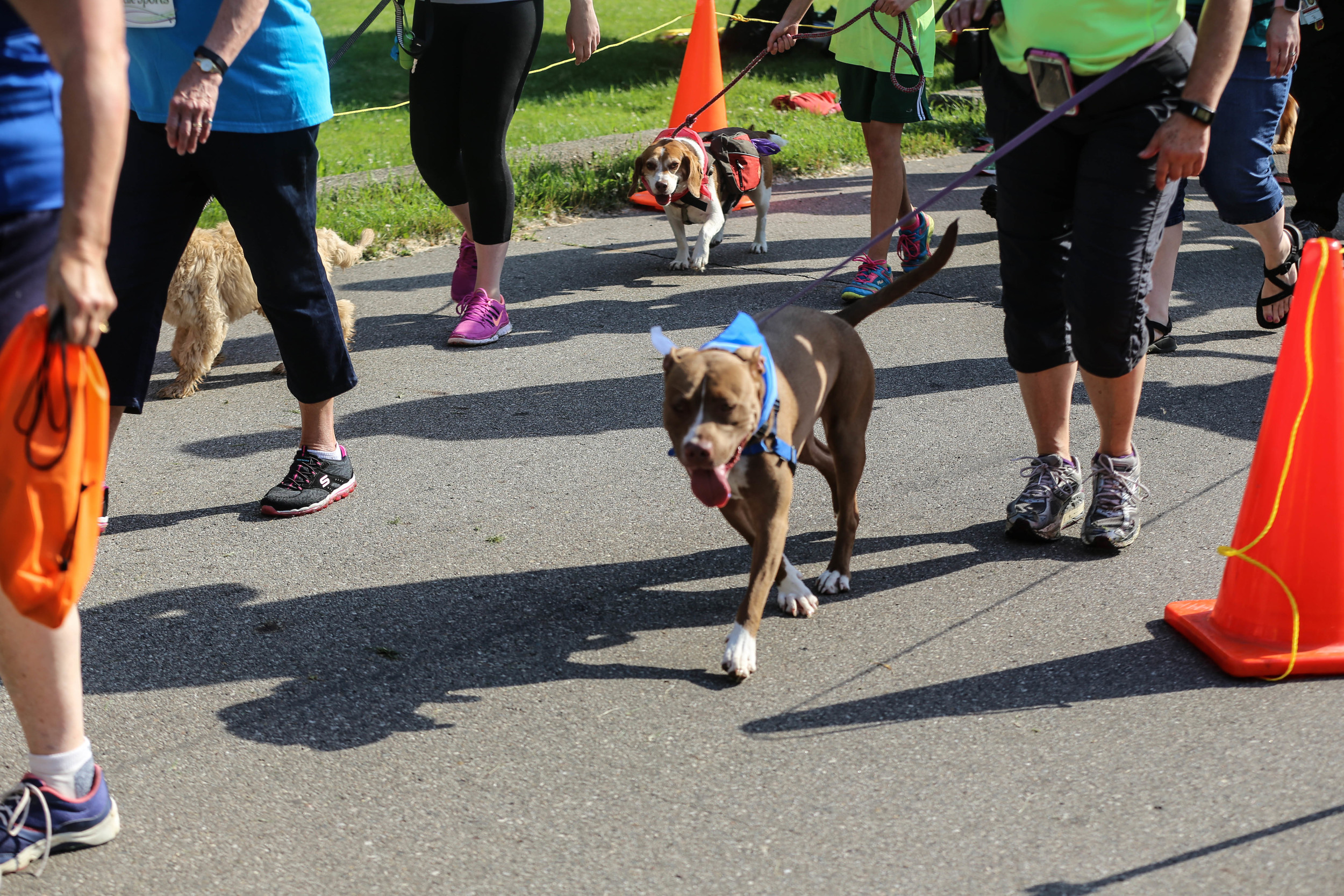 K9K Race-115.jpg