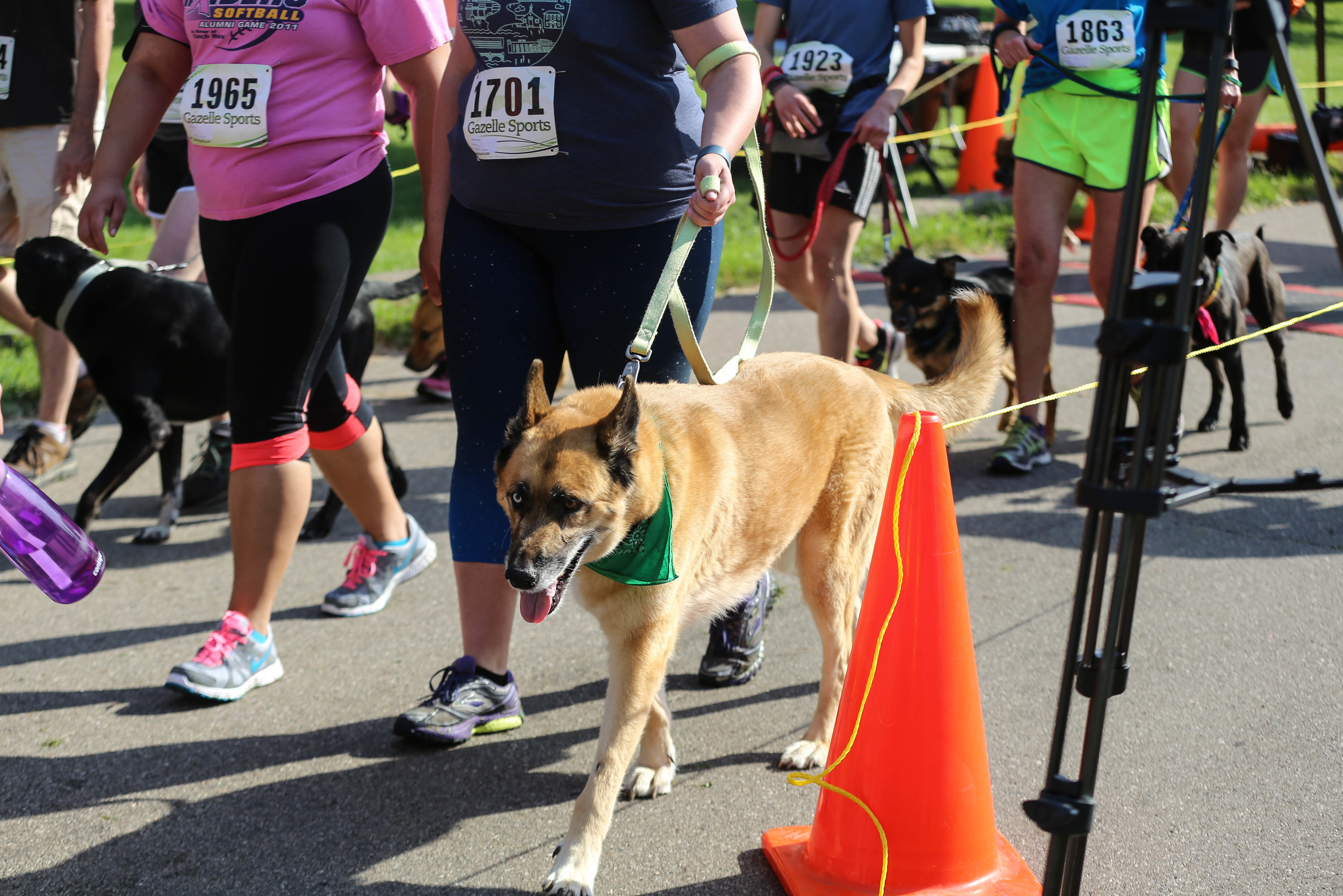 K9K Race-122.jpg