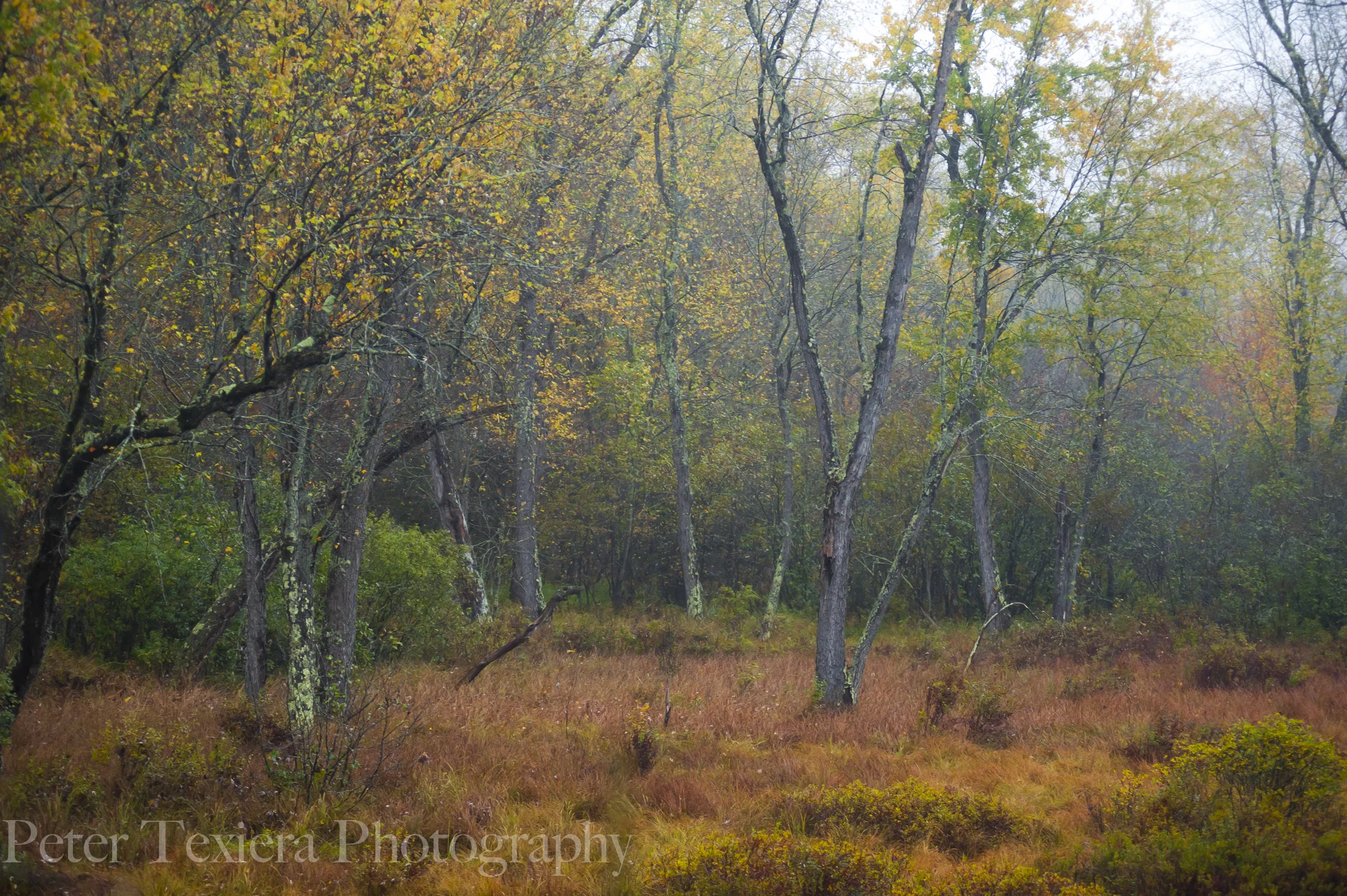 Fall 2014 ADK-1.jpg