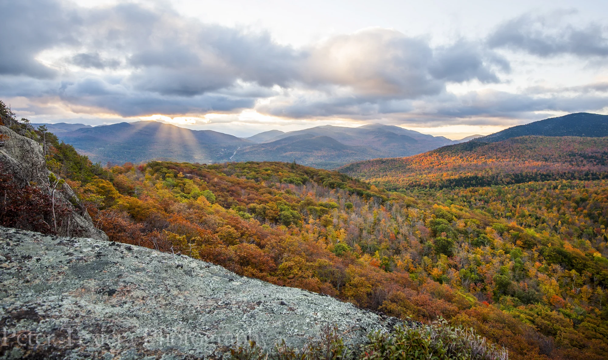 Owls Head Color-1.jpg