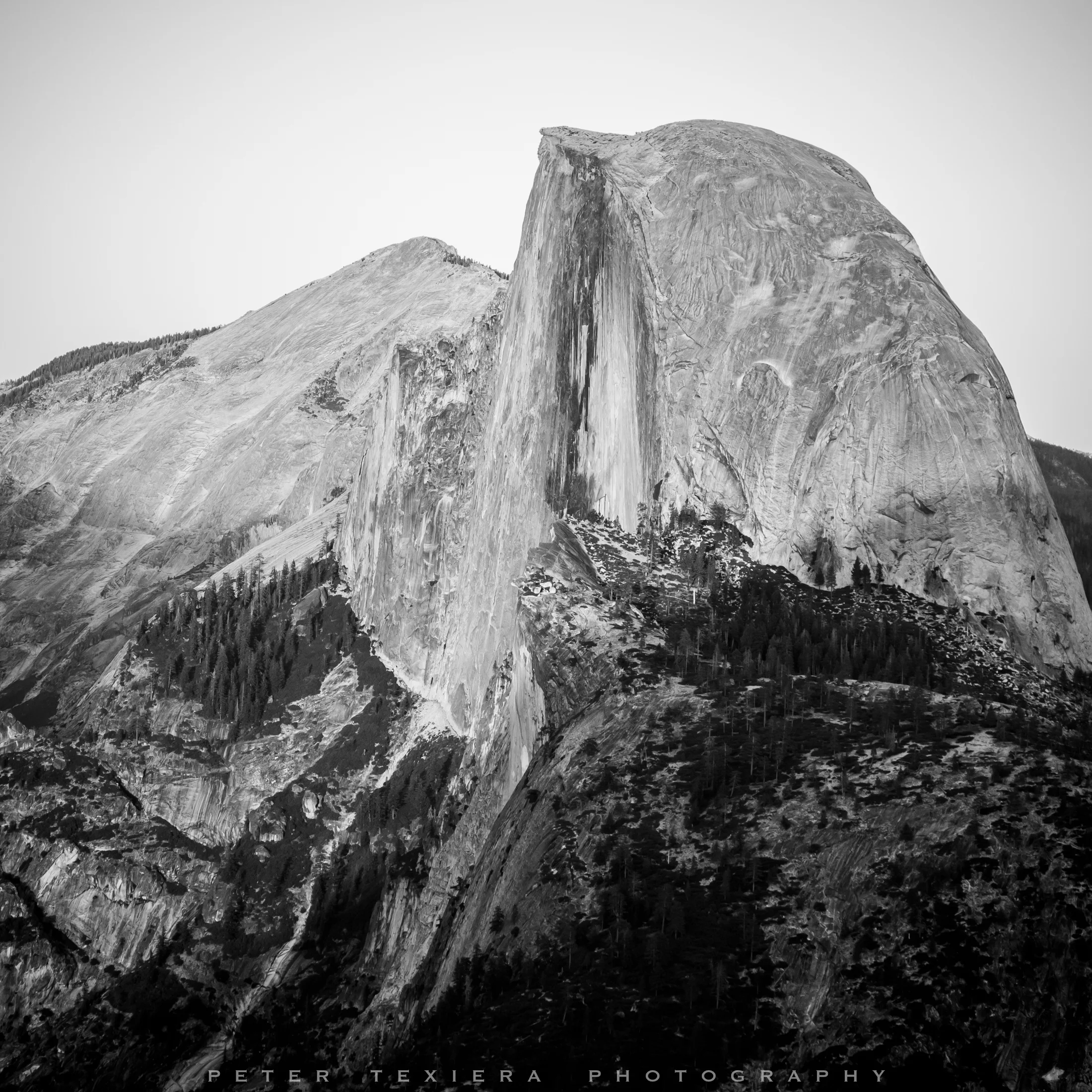 DSC_3326.jpg
