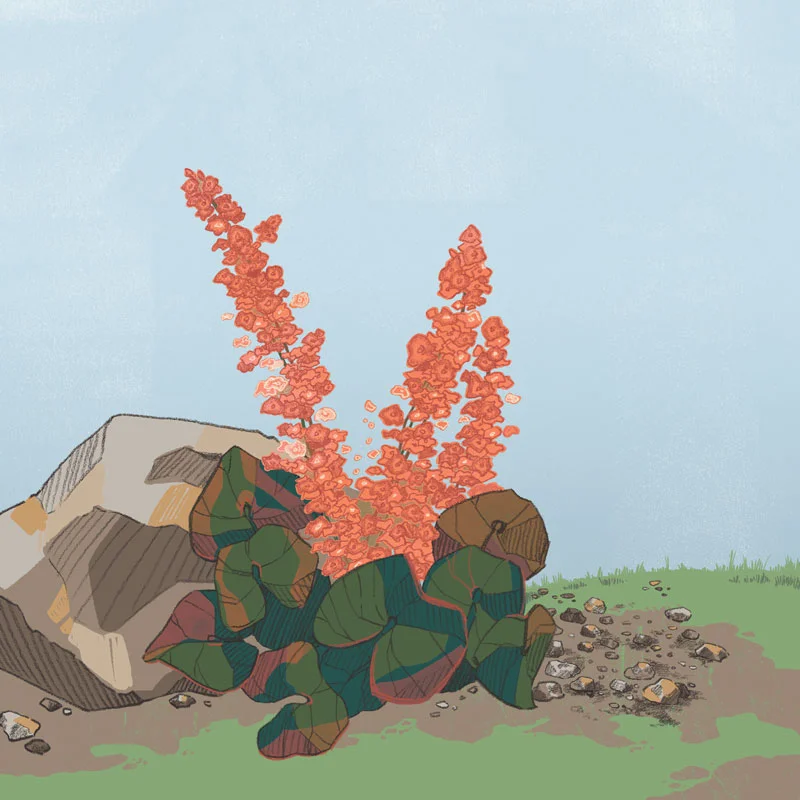 OnTheTundra_Pg02_FINAL_V2_web.jpg