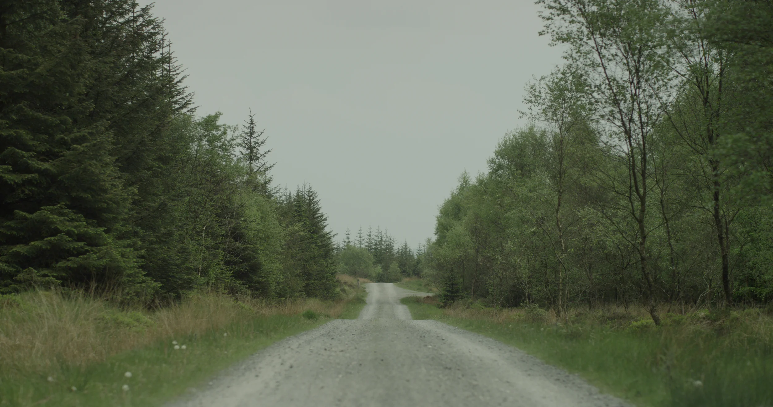 005_road.jpg