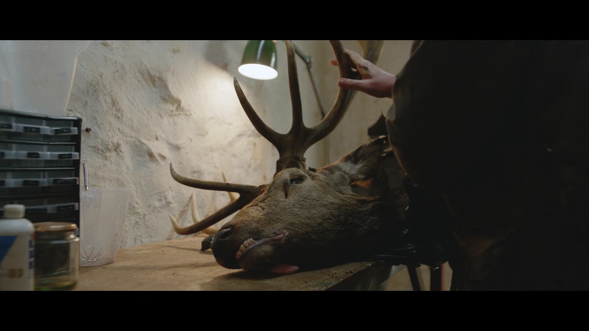 grade_stills_0010244.jpg