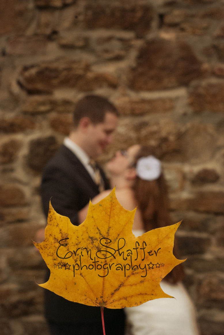 Central PA Wedding and engagement photography.jpg