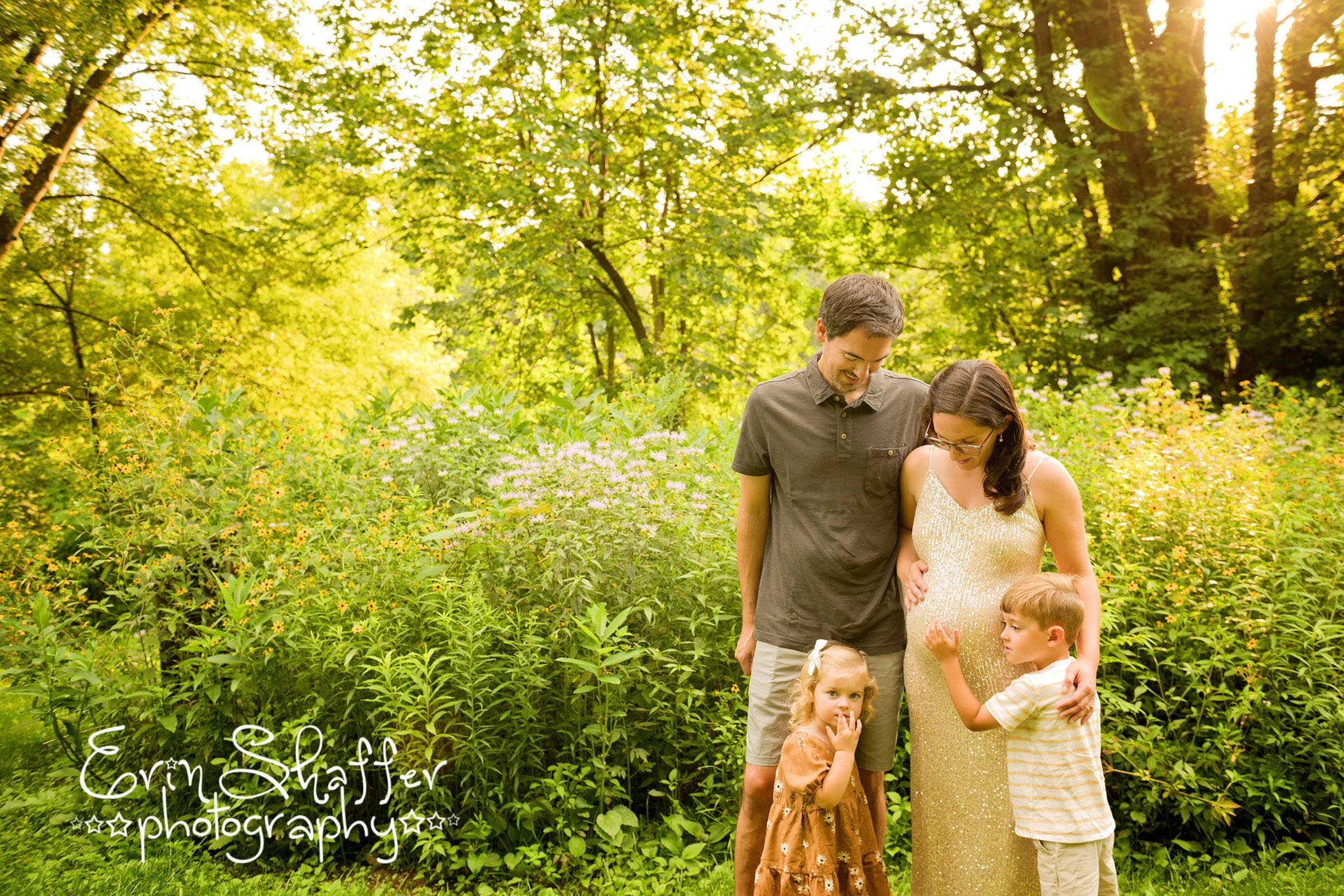 Hampden Township Maternity photographer.jpg