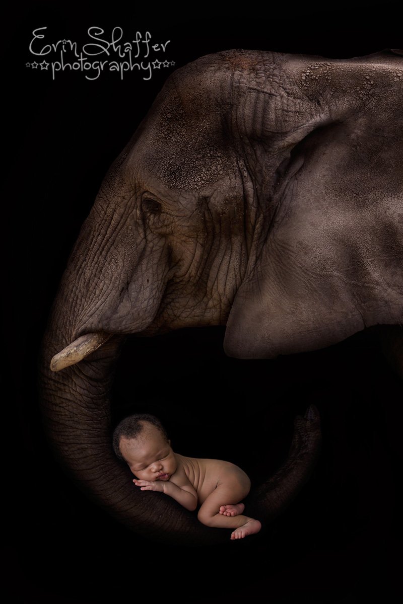 Enola Newborn photographer.jpg