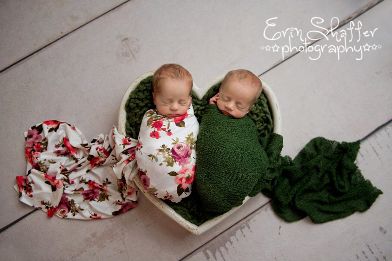 harrisburg twin baby photographer.jpg