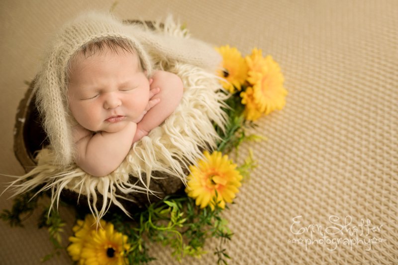 Lemoyne newborn photographer.jpg