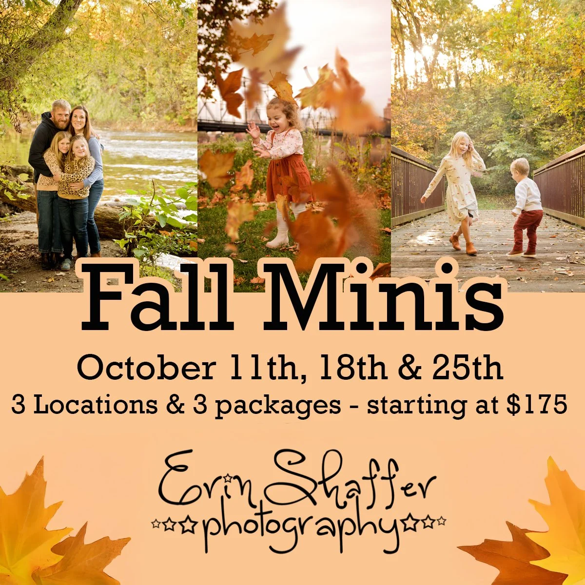 2025 Fall Flyer.jpg