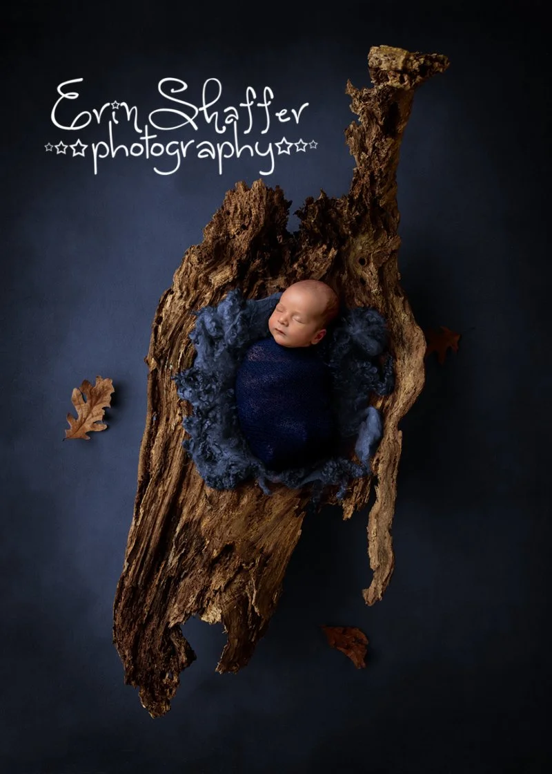 Carlisle Dillsburg Newborn Photographer.jpg