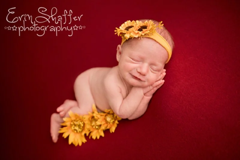 Dillsburg Newborn photographer .jpg