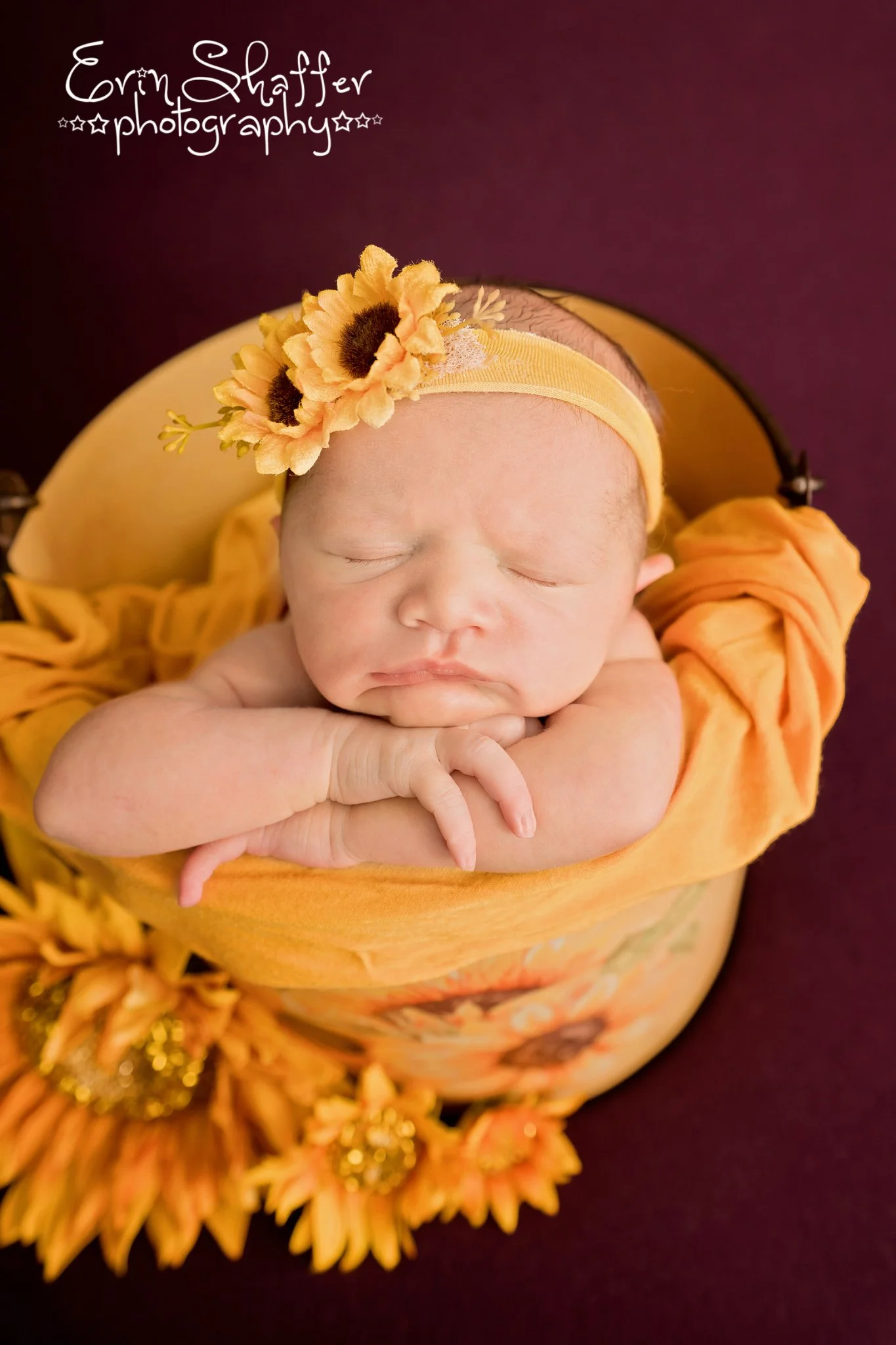 Sheperdstown newborn photographer   6 .jpg