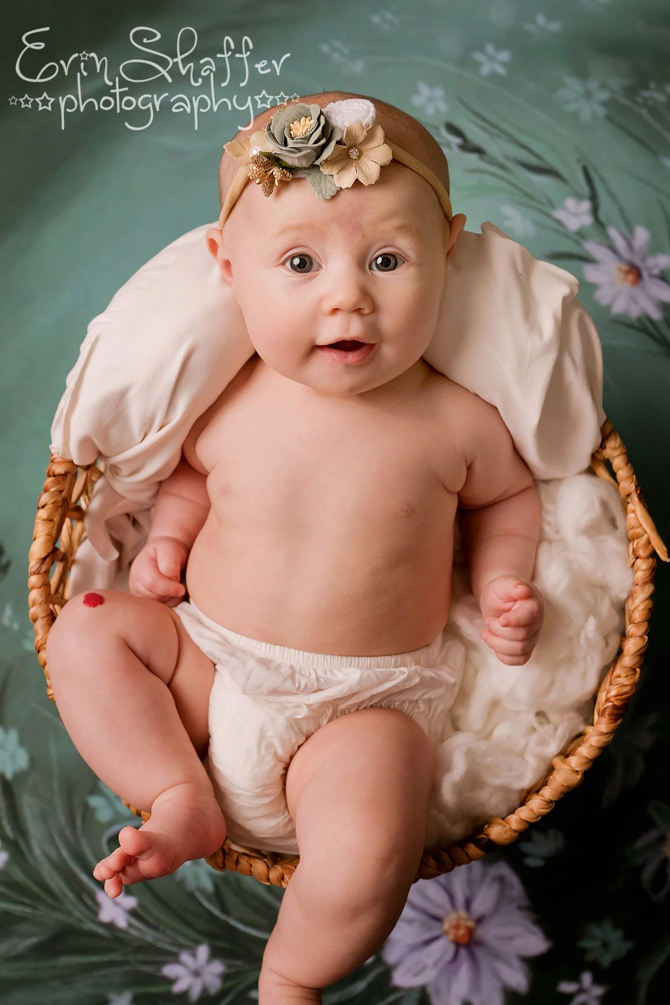 Dillsburg Milestone Photographer.jpg