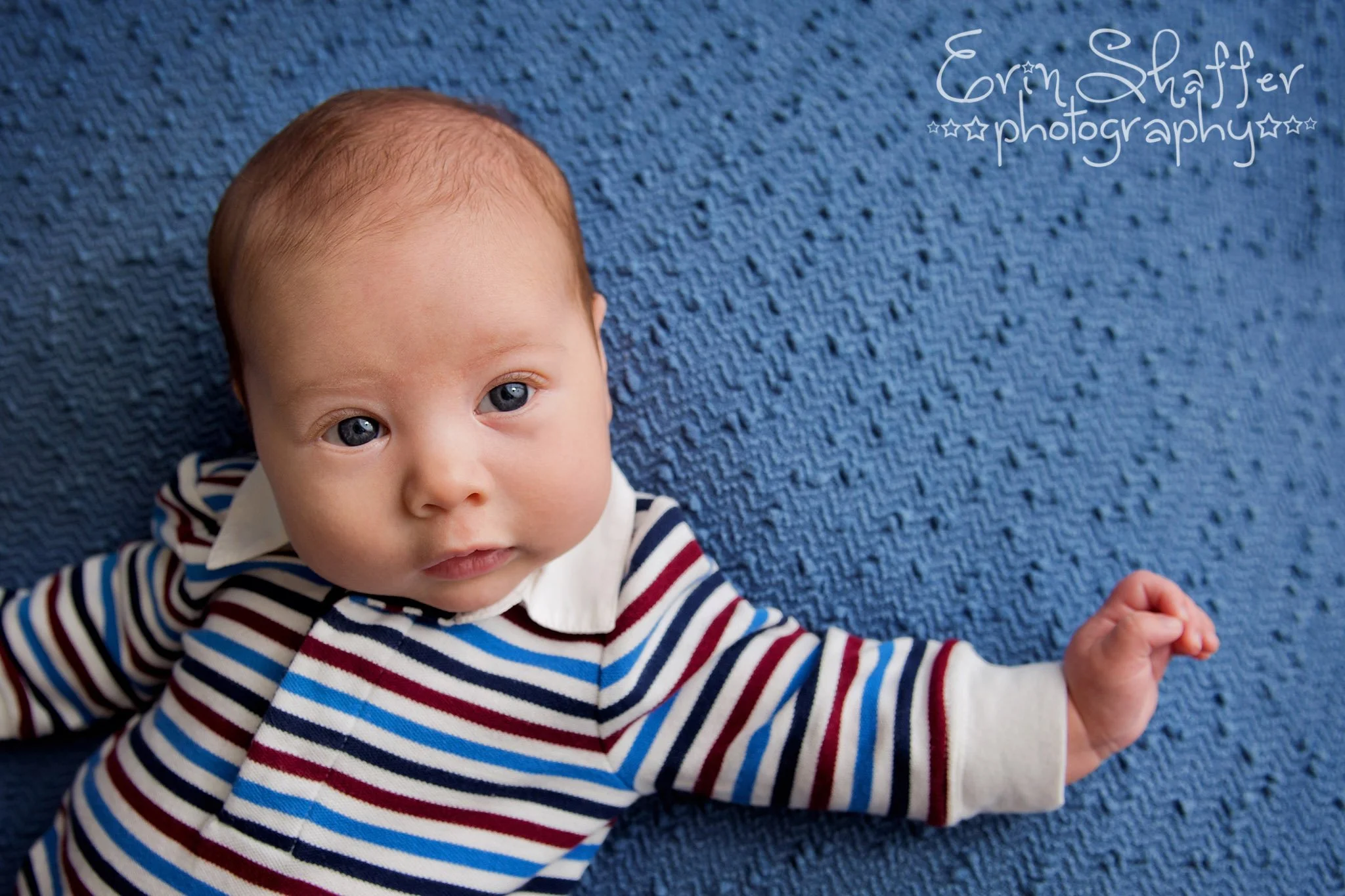 Harrisburg Milestone Photographer.jpg