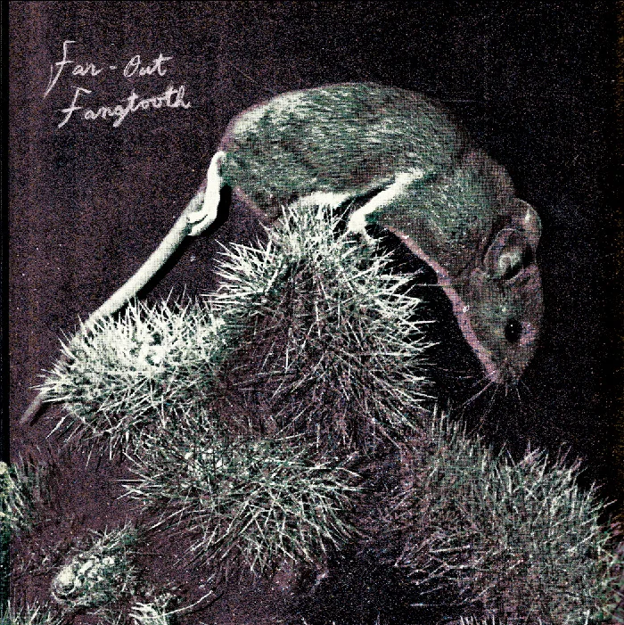 A 7-inch slab of greatness from Far-Out Fangtooth.