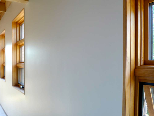 shapeimage_1-1.png