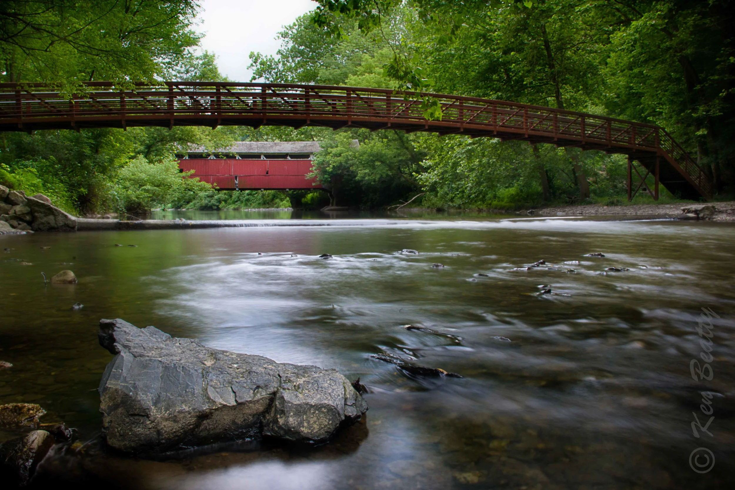 DSC_5497-Edit.jpg