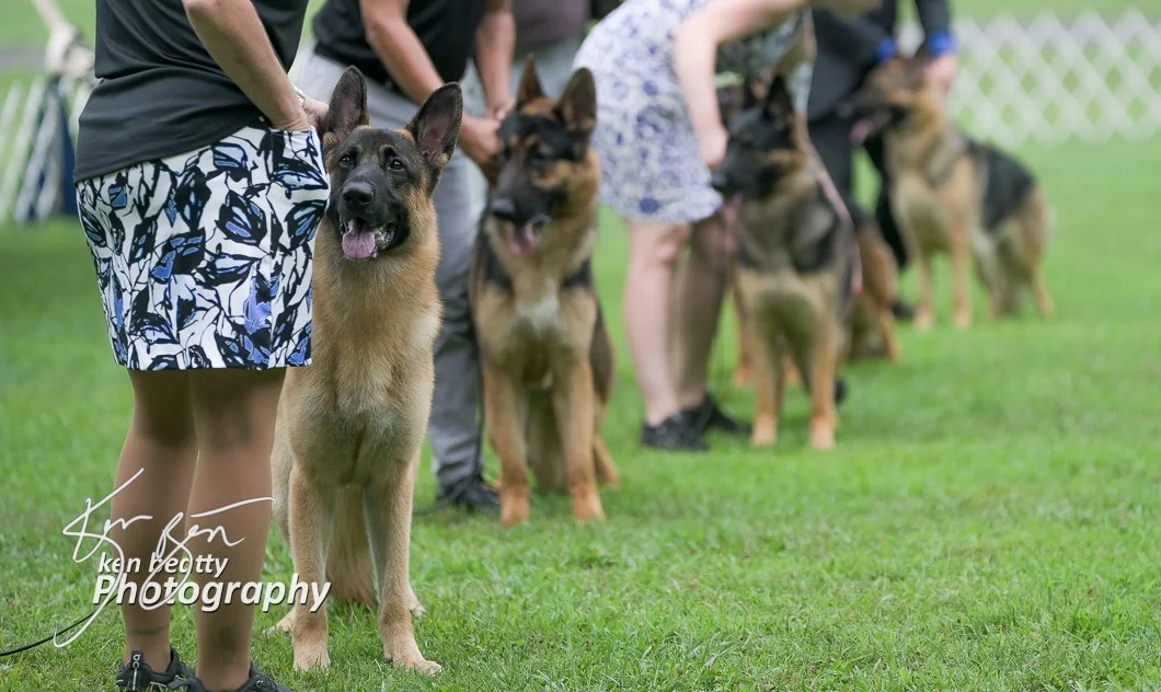 KBZ_3864.jpg