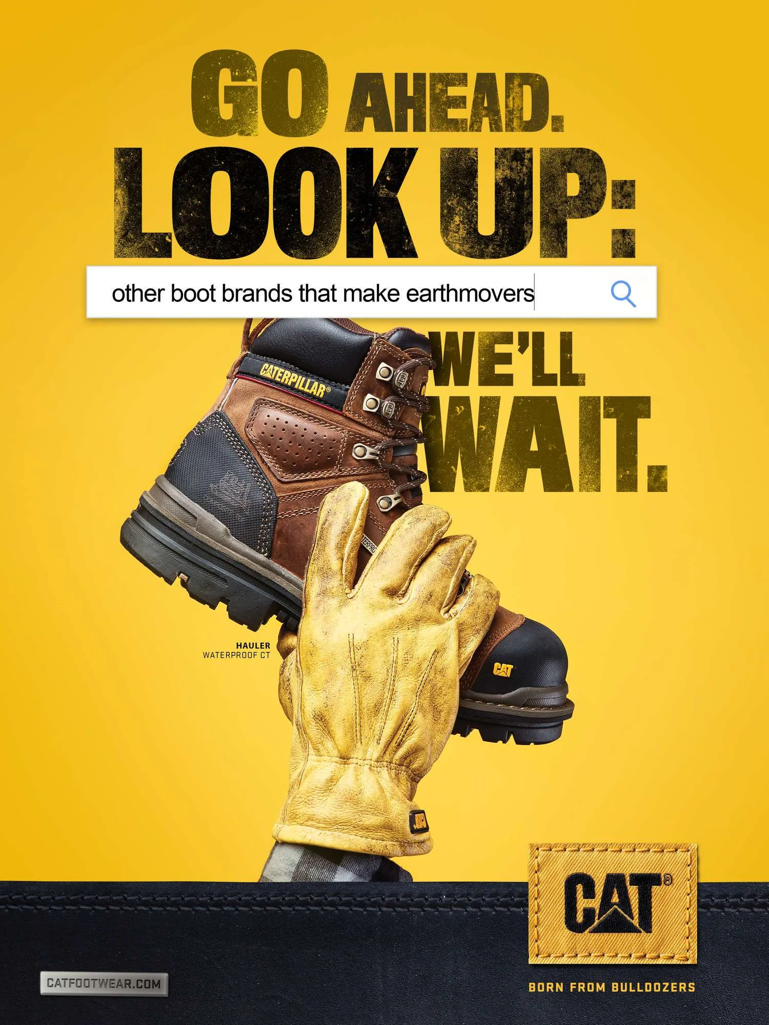 cat-go-ahead-look-up.jpg