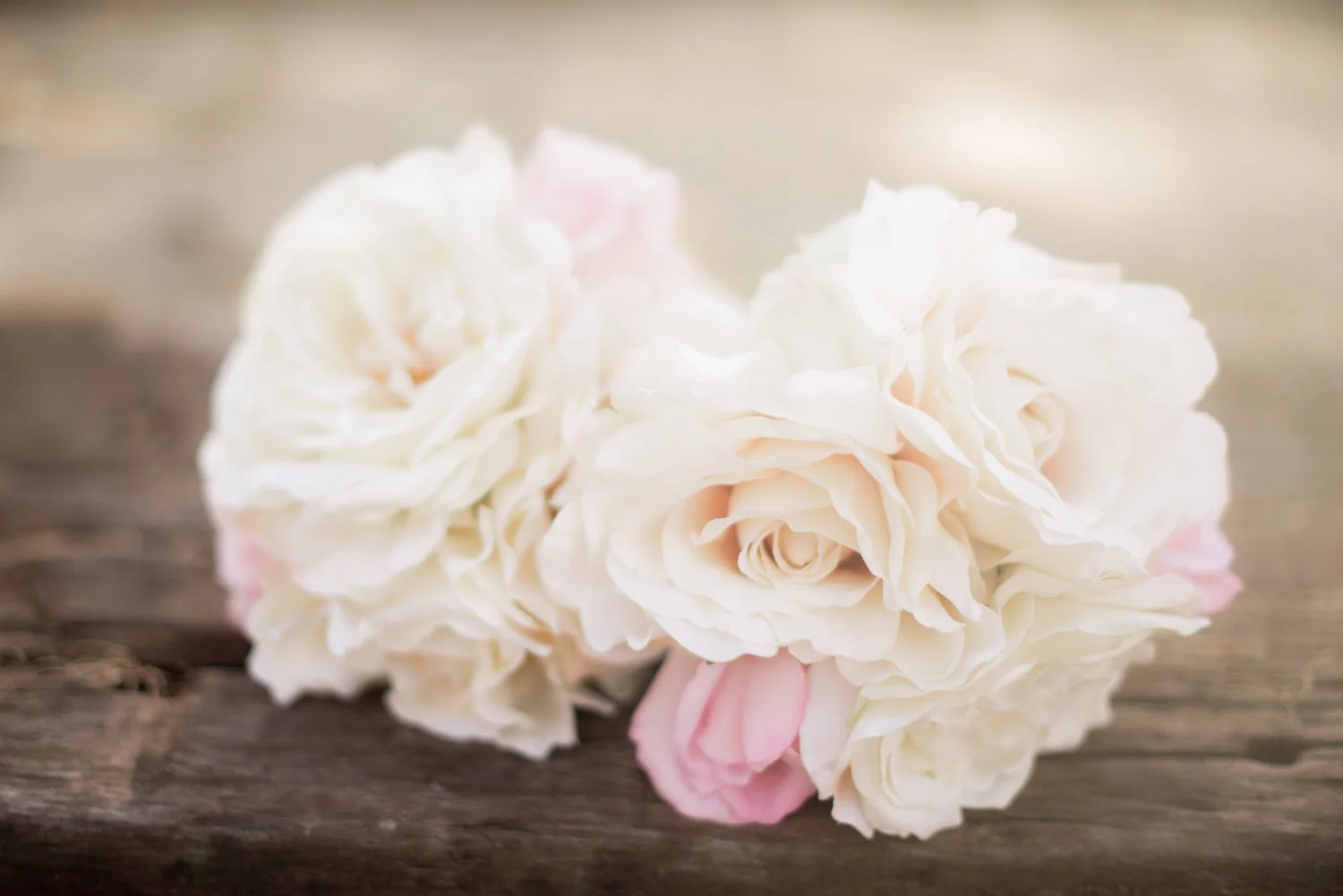 leah&kyle-6504.jpg