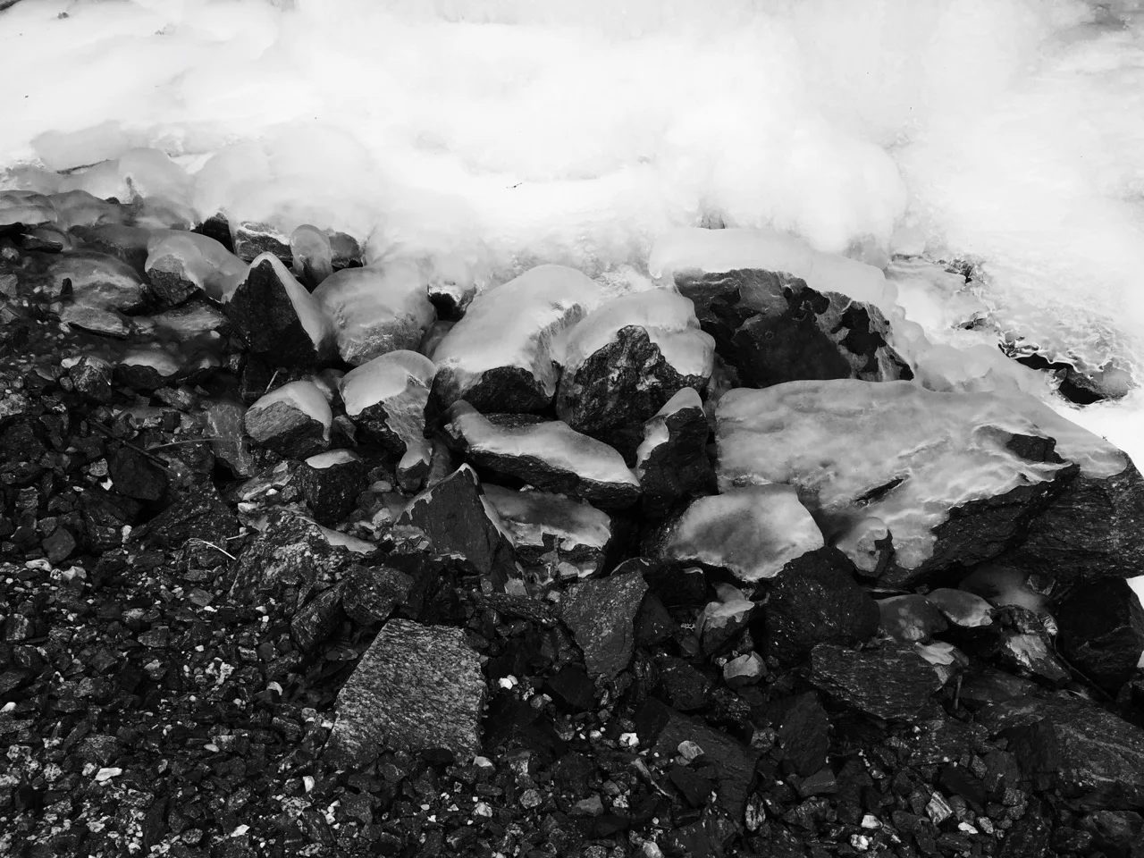 IMG_6804.jpg